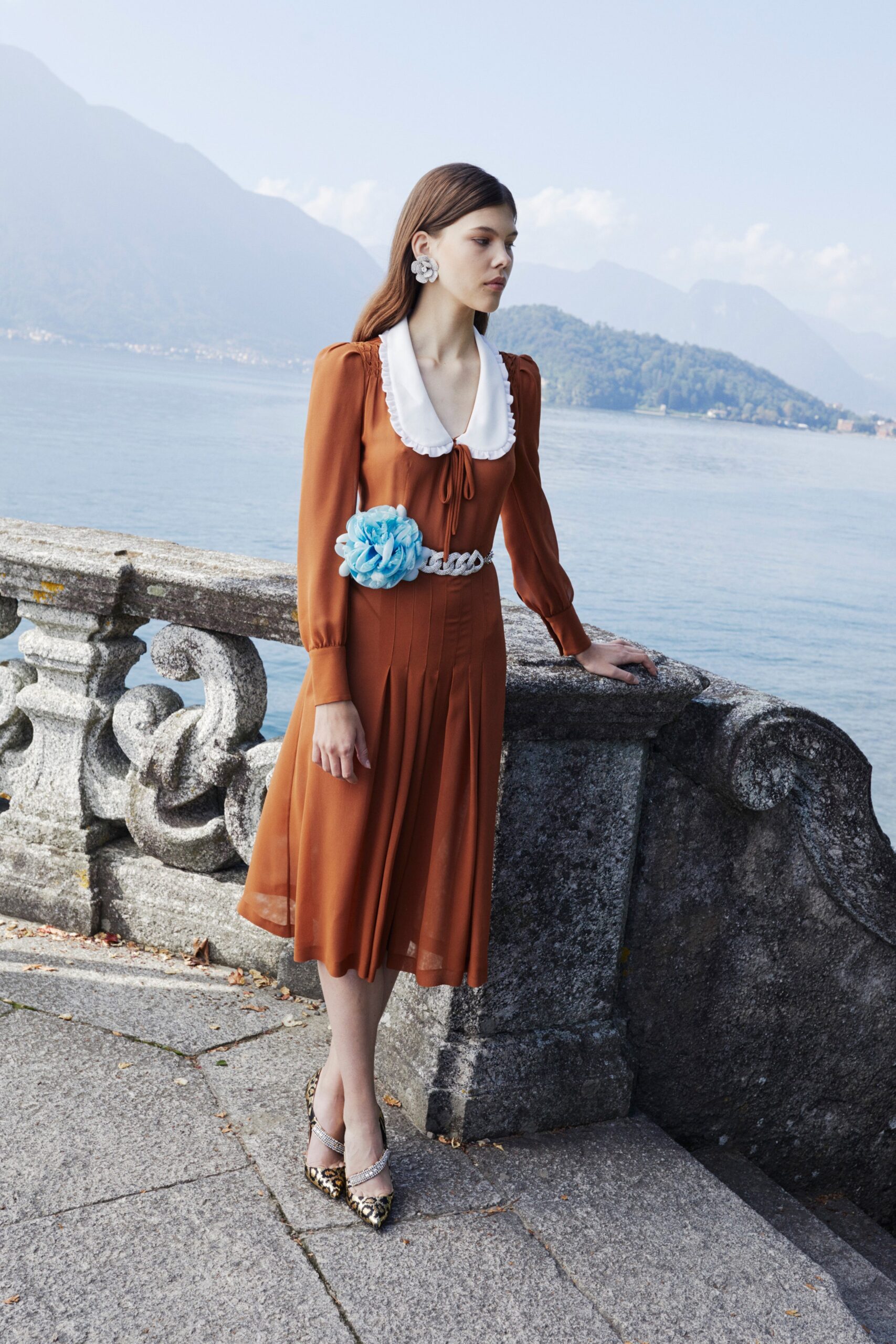 brown silk long-sleeve dress