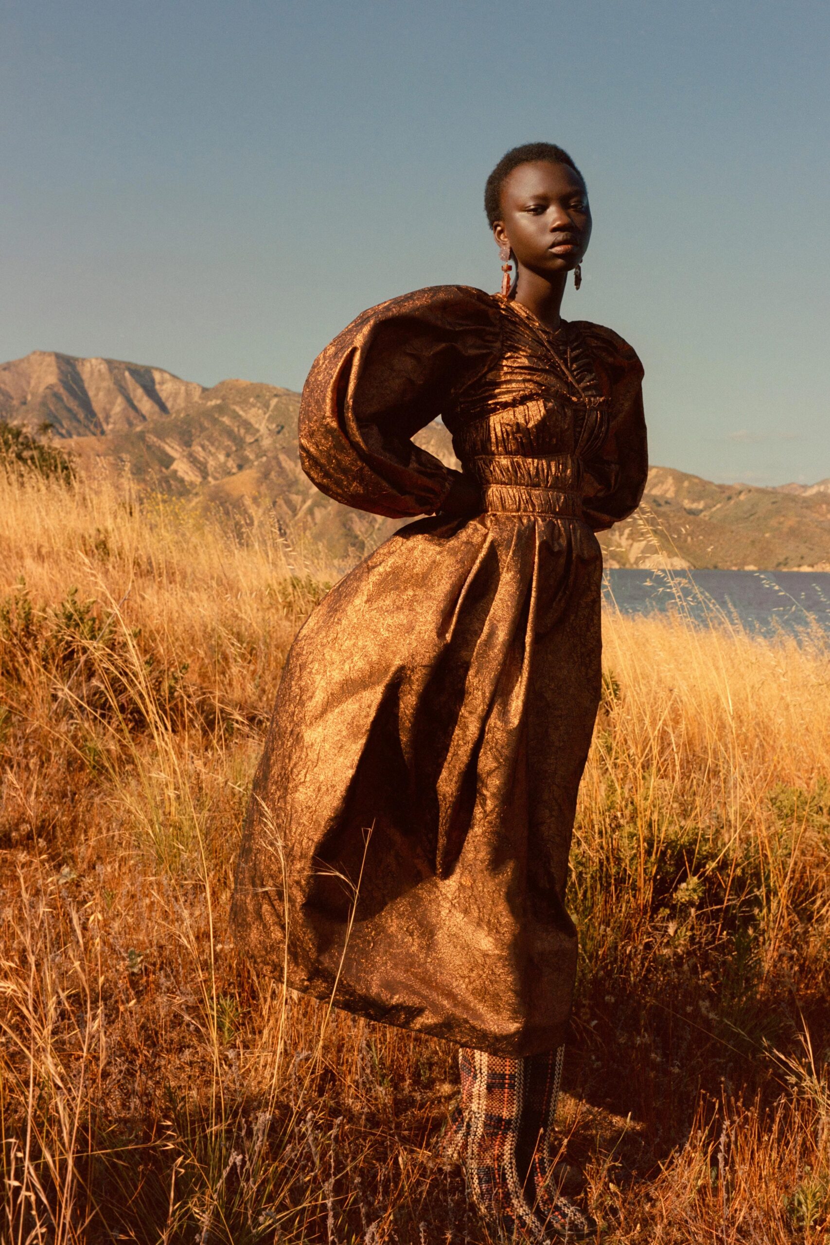 A fitted brown silk dress with long sleeves, a V-neckline, and a tiered design.