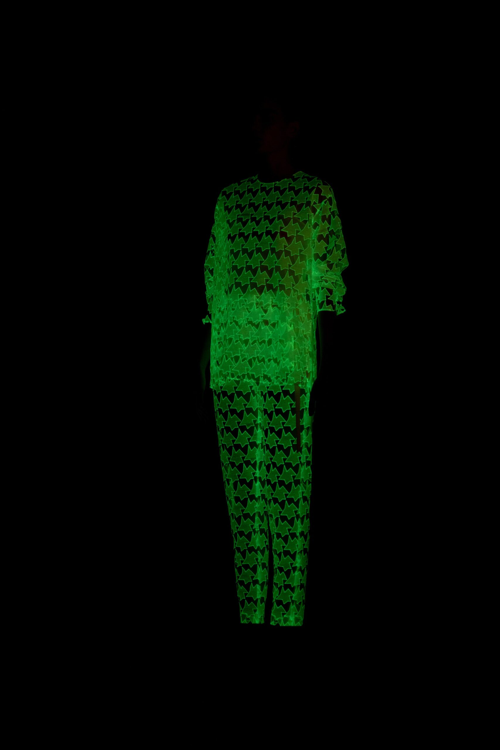 sheer green mesh top and pants