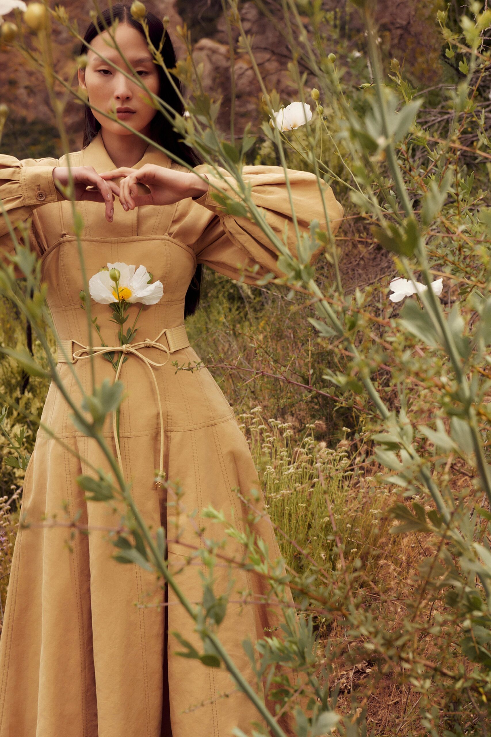 A fitted beige cotton long-sleeve dress with a V-neckline and A-line silhouette.