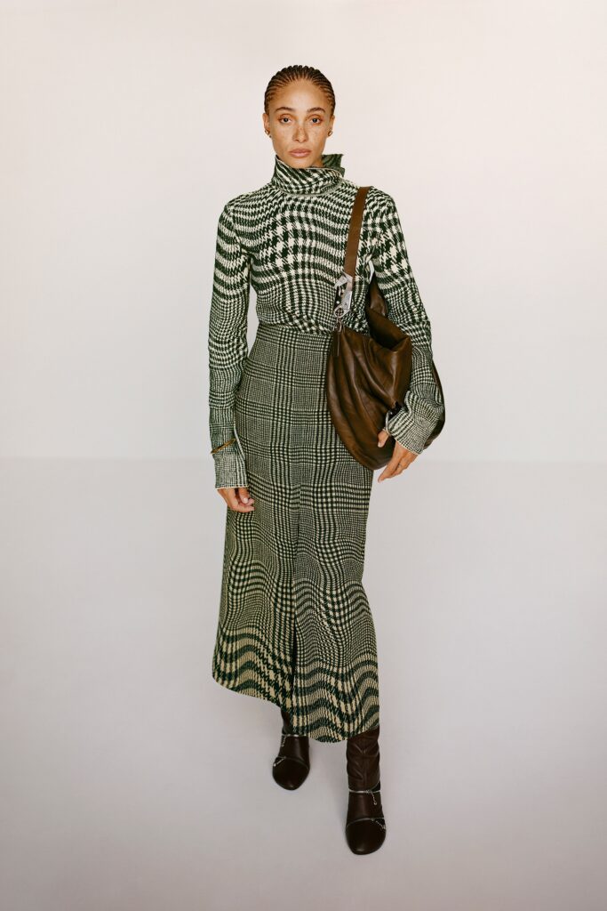 A fitted long-sleeve checked dress with a high neckline and a stylish silhouette.