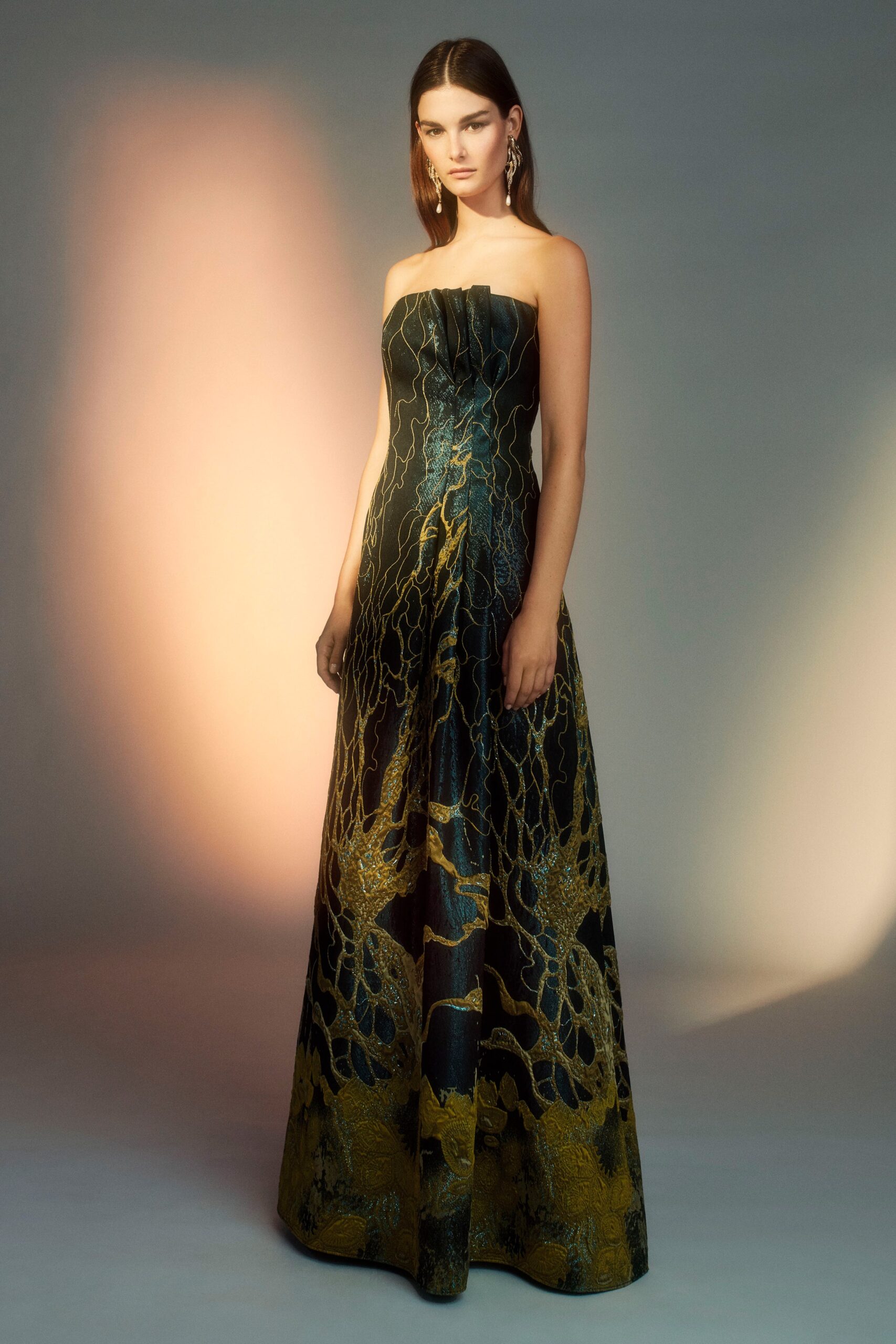 black and gold embroidered gown