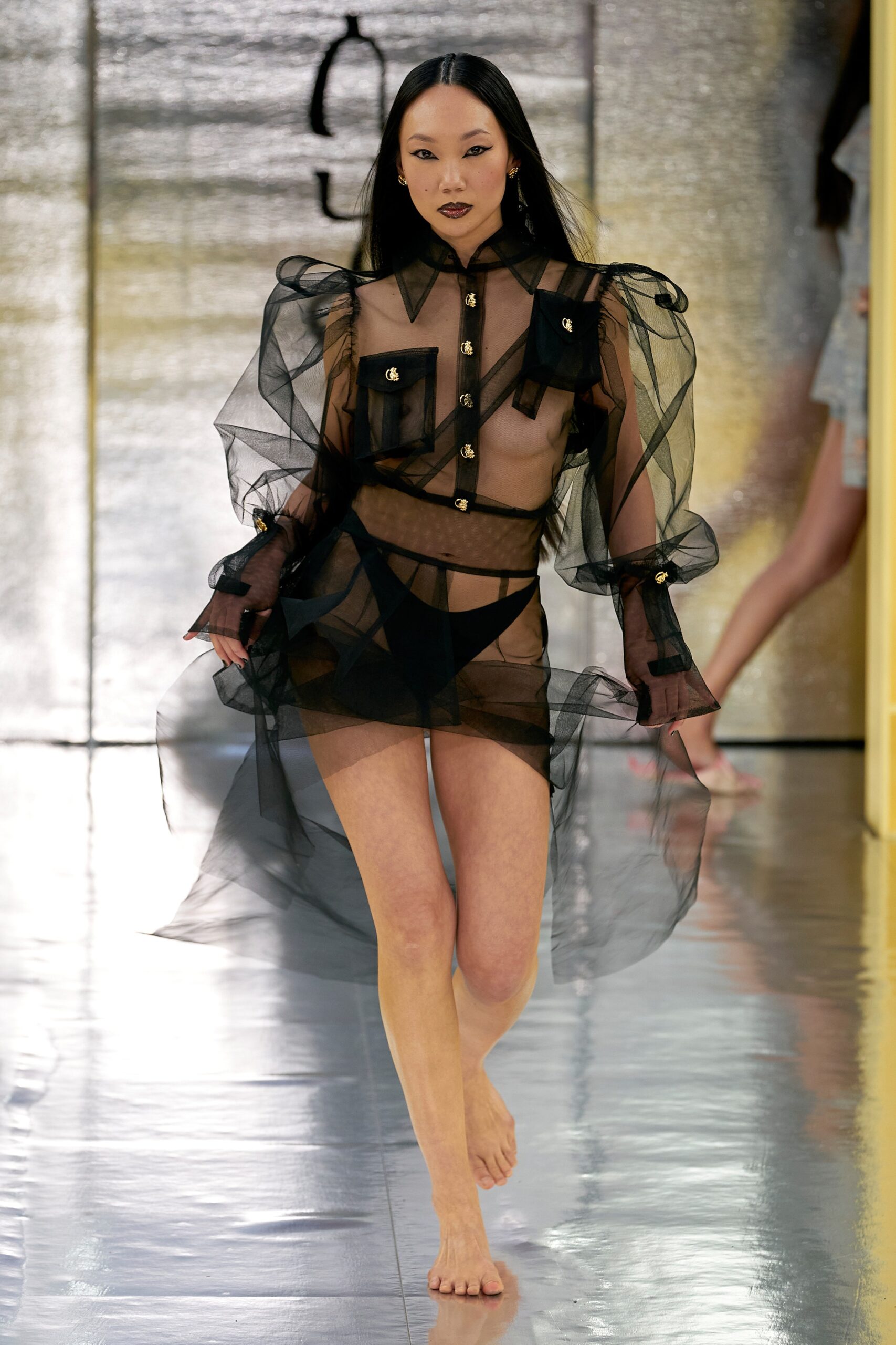 A fitted black sheer dress with long sleeves and a layered design detail.