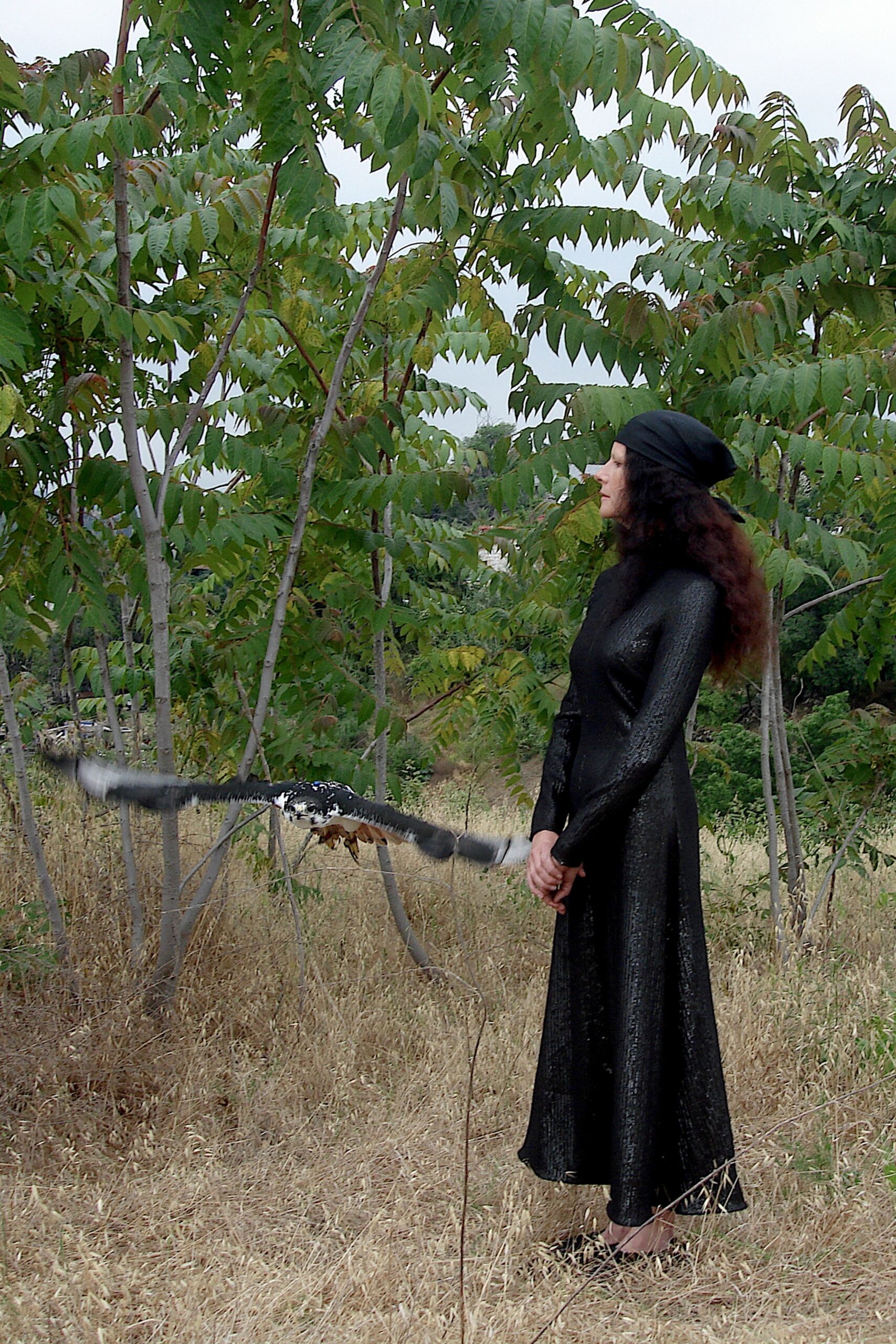 A fitted black silk dress with long sleeves and a high neckline, perfect for elegant occasions.