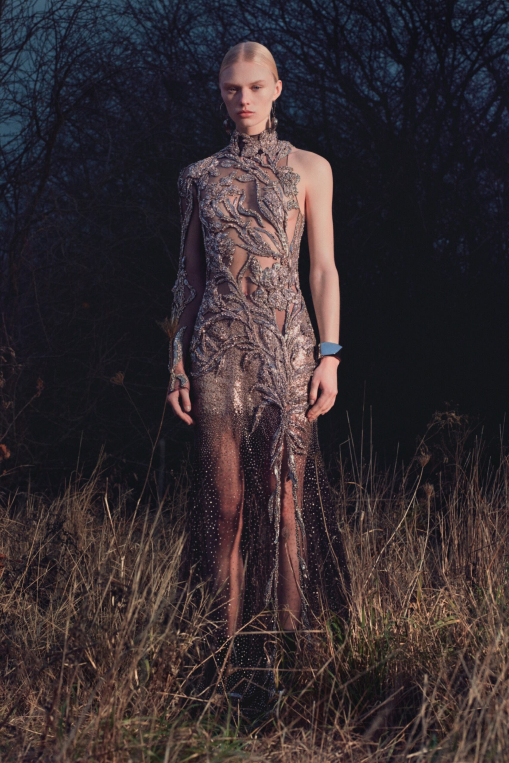 gold embellished sheer gown