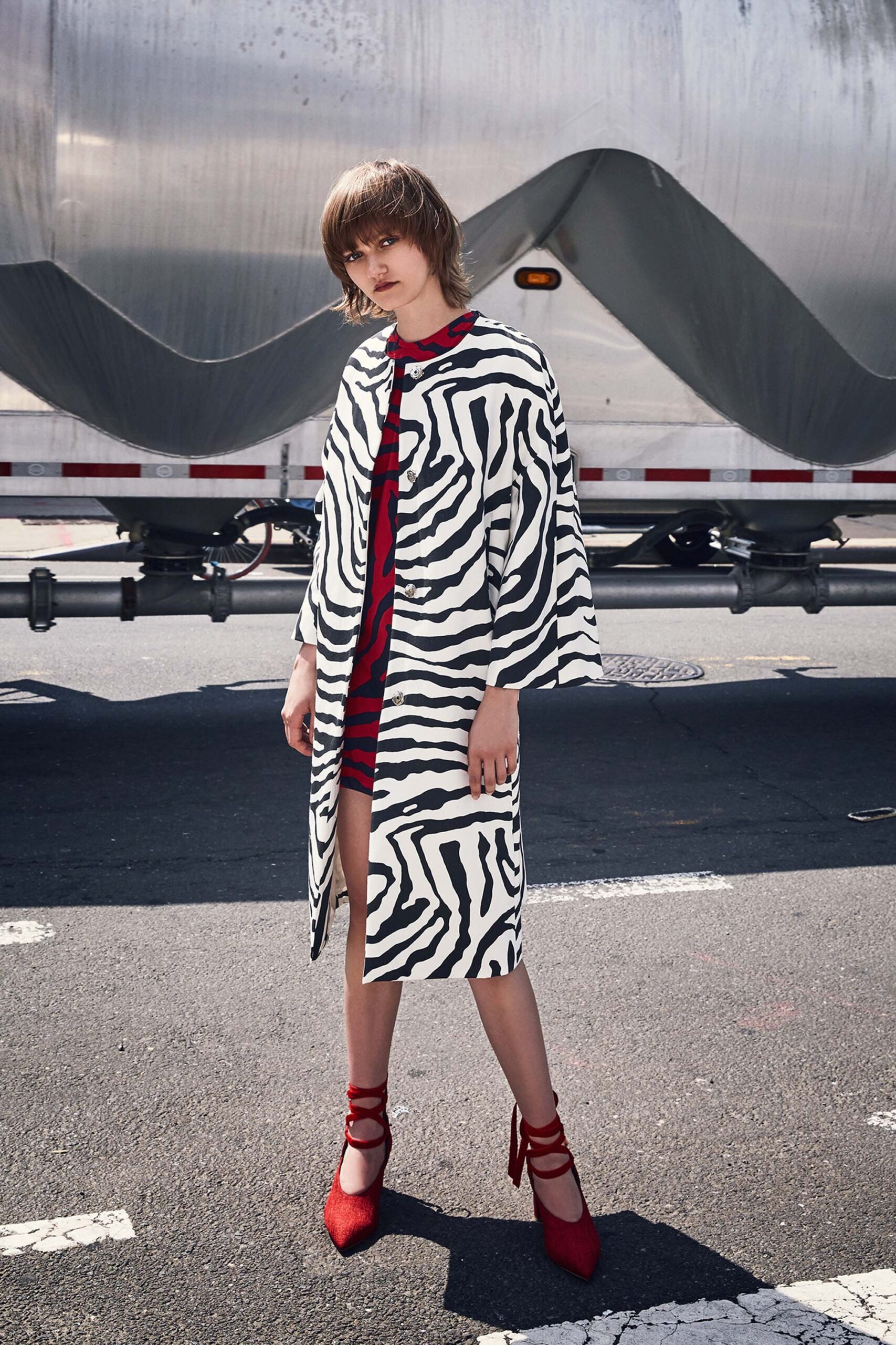 zebra print coat with red dress