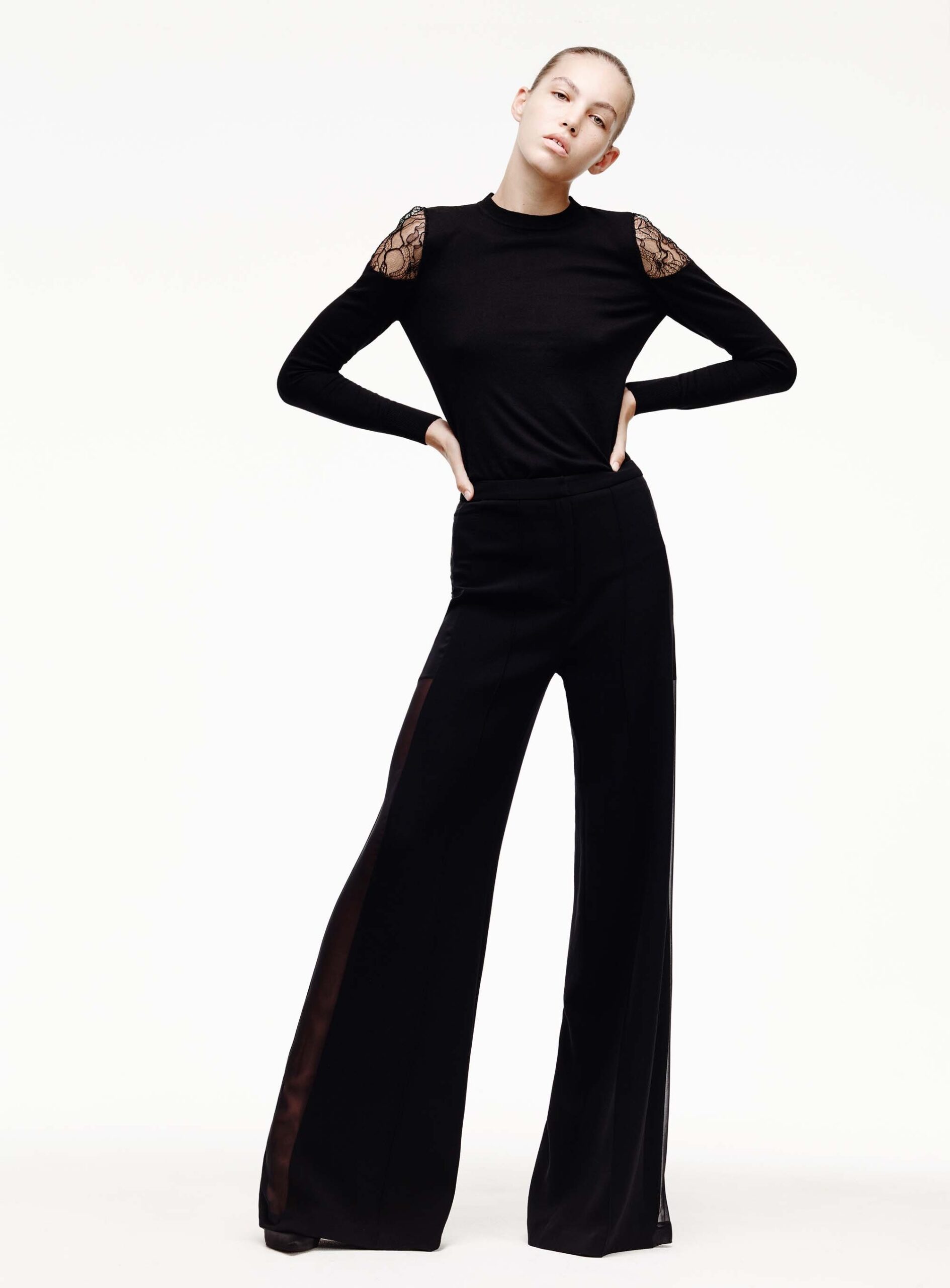black cotton fitted high-waisted wide-leg sheer pants