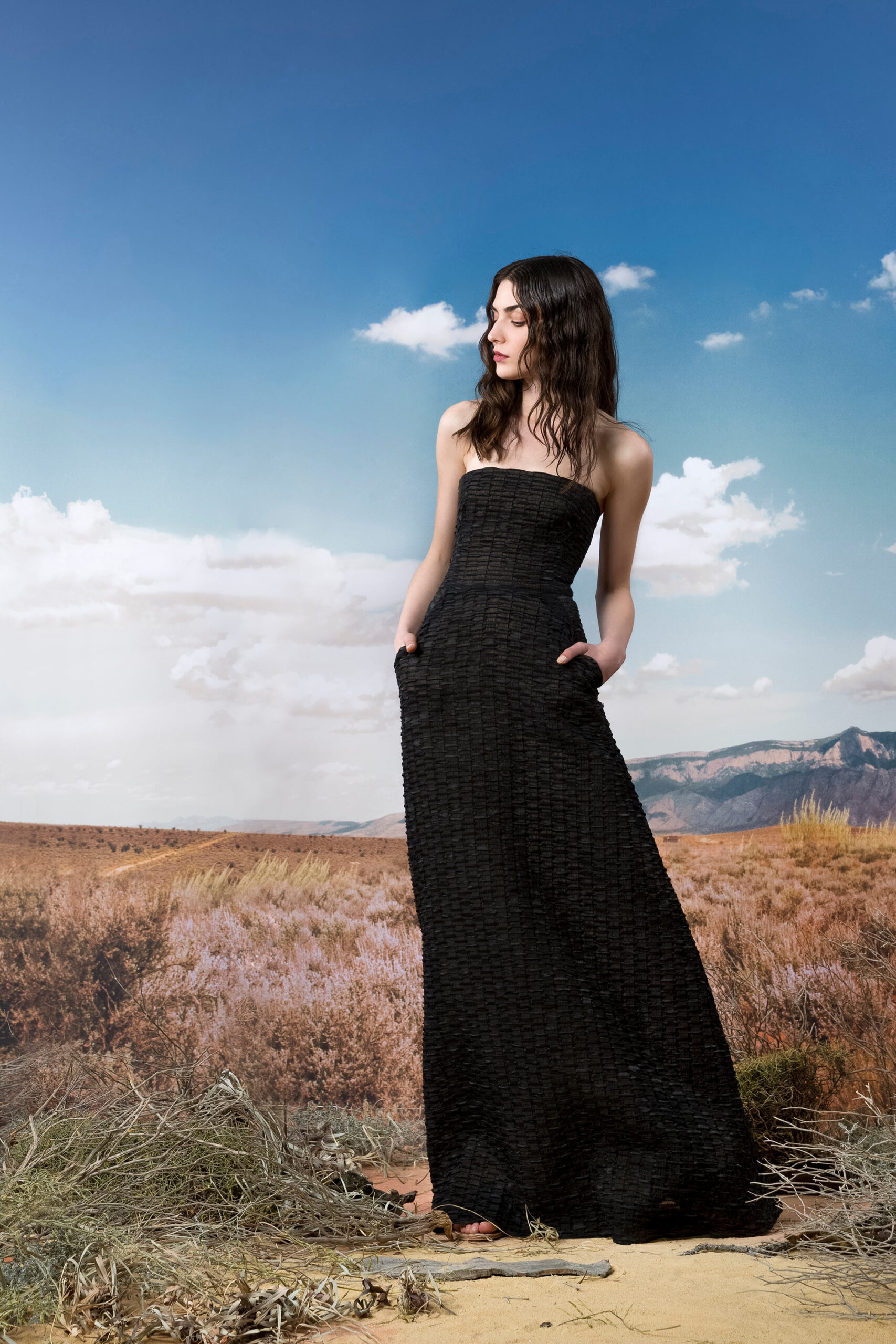 black fitted strapless gown