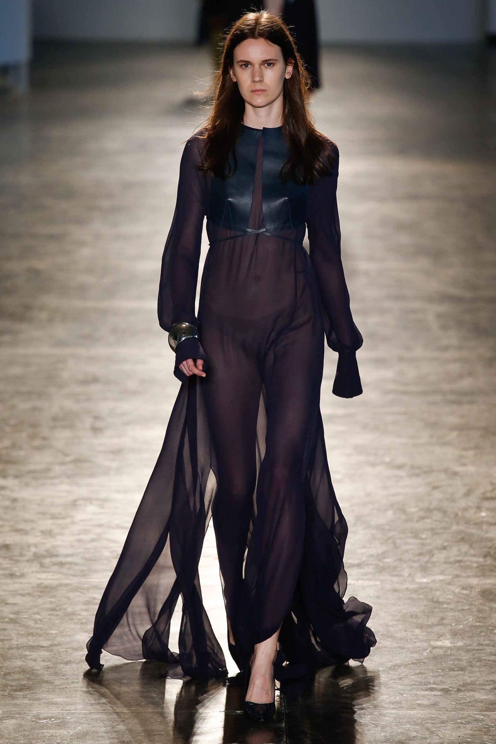 black and blue sheer gown