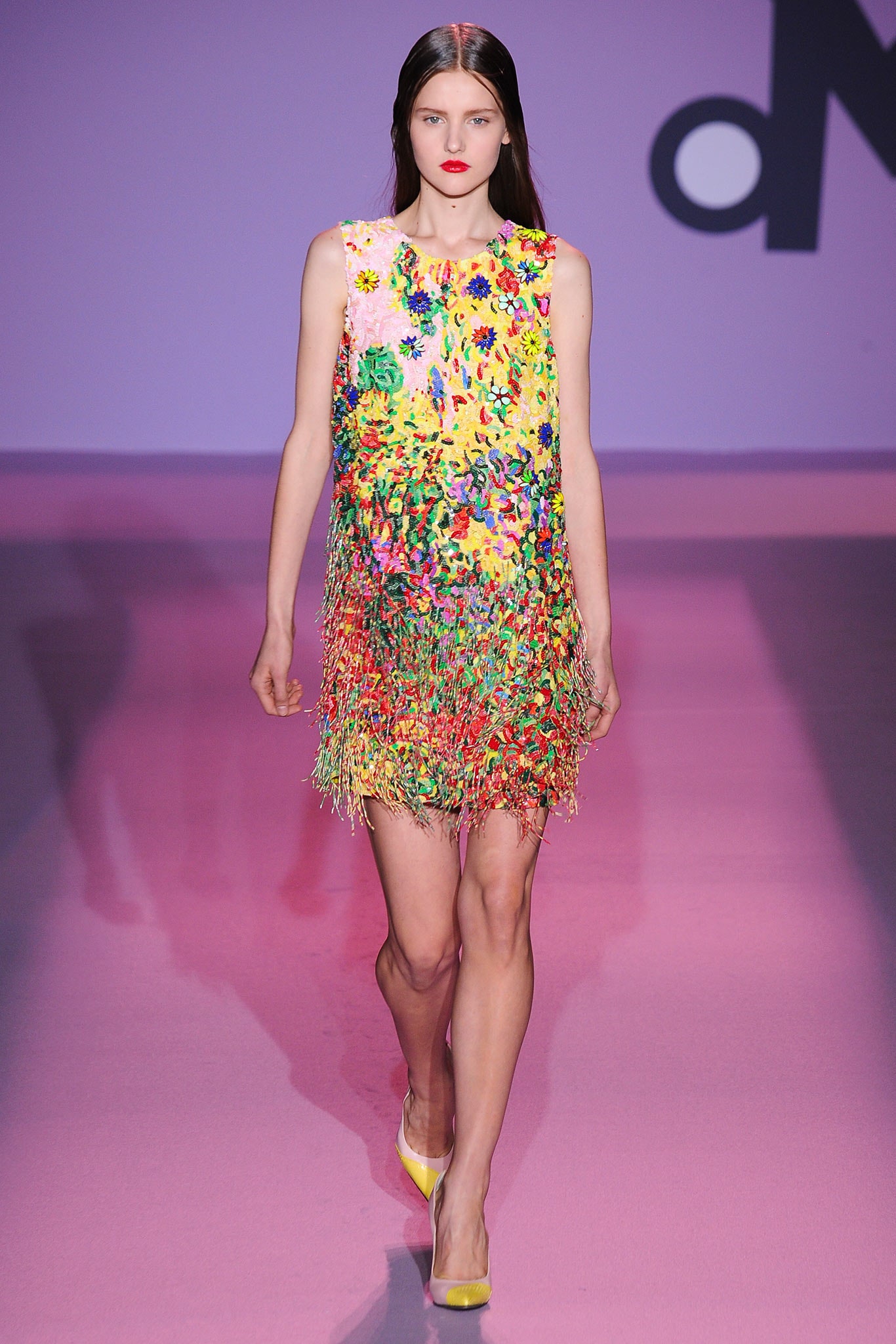 fringed pink embroidered mini dress