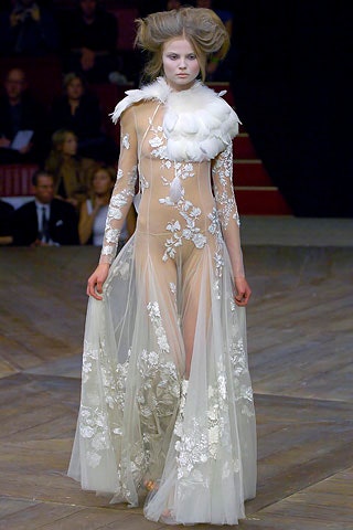 white embroidered sheer gown
