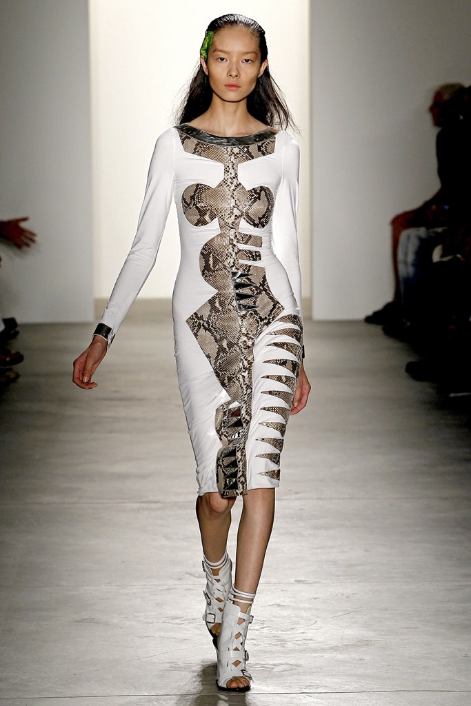 white cotton long-sleeve v-neck fitted printed zippered dress