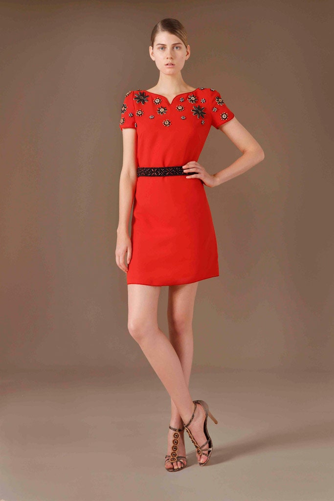 fitted red embroidered mini dress