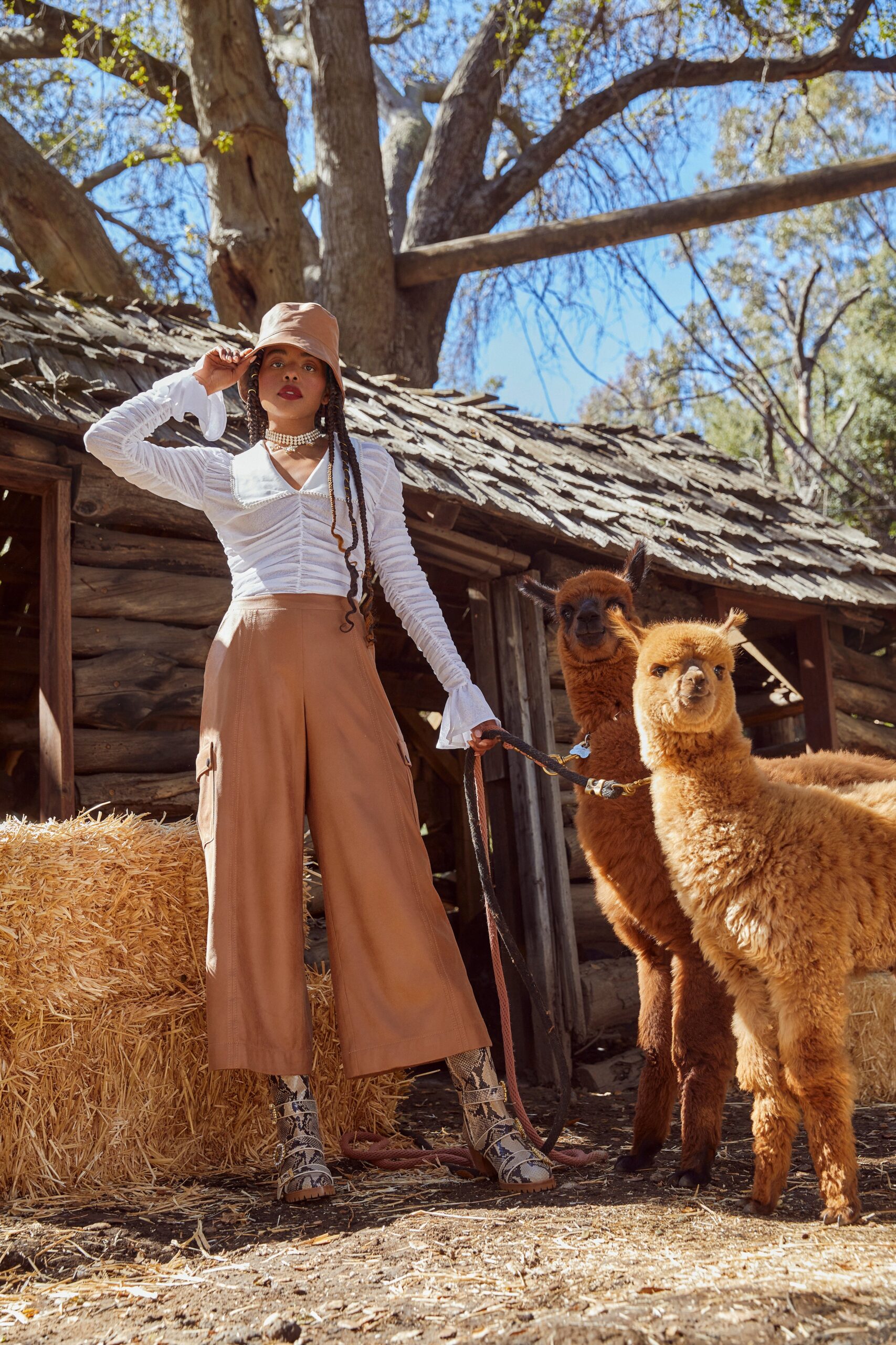 white fitted blouse with brown relaxed pants