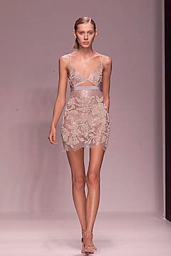 beige sheer embroidered mini dress