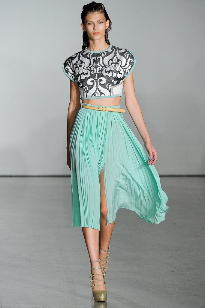 embroidered silk top with pleated skirt