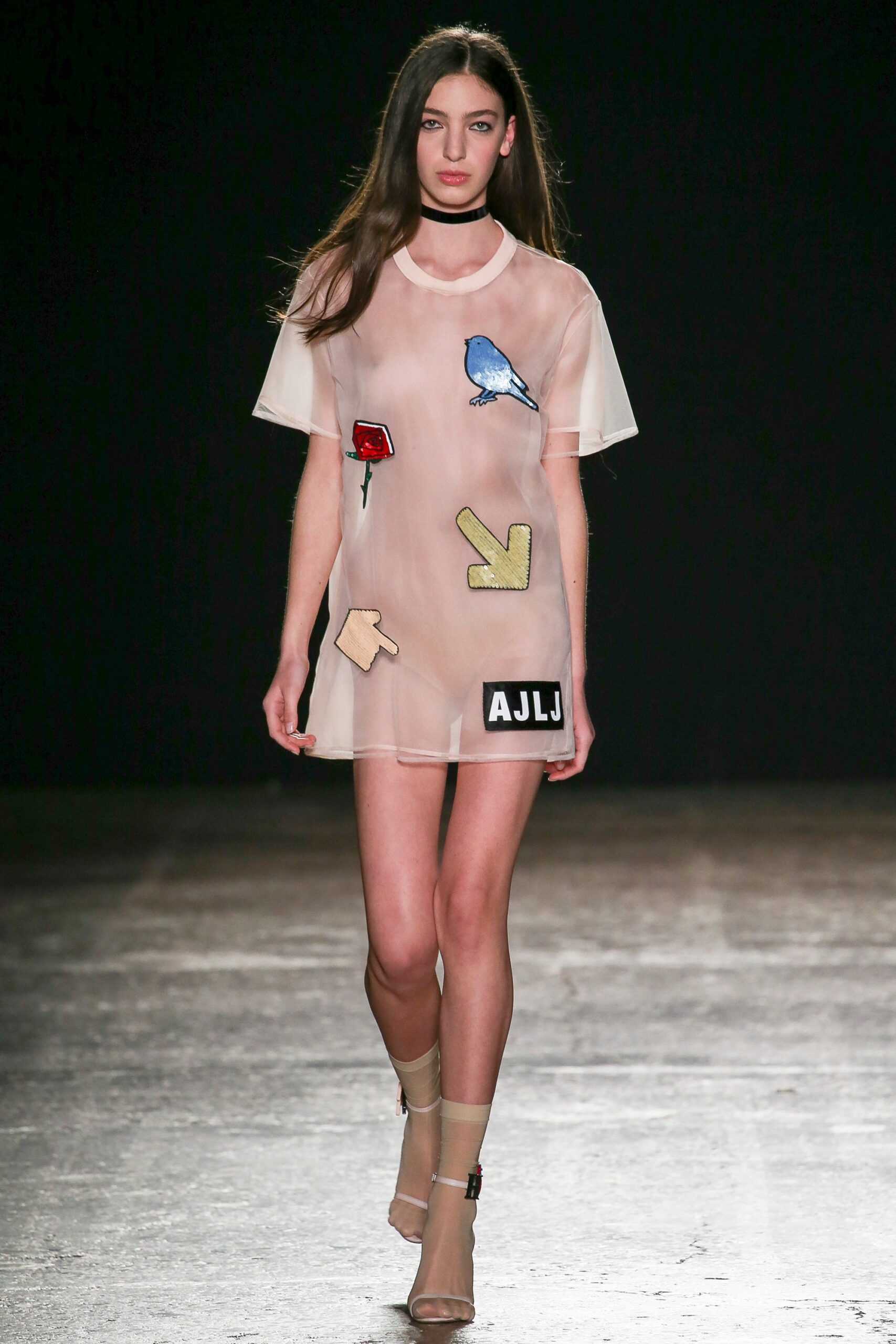 sheer mesh embroidered mini dress