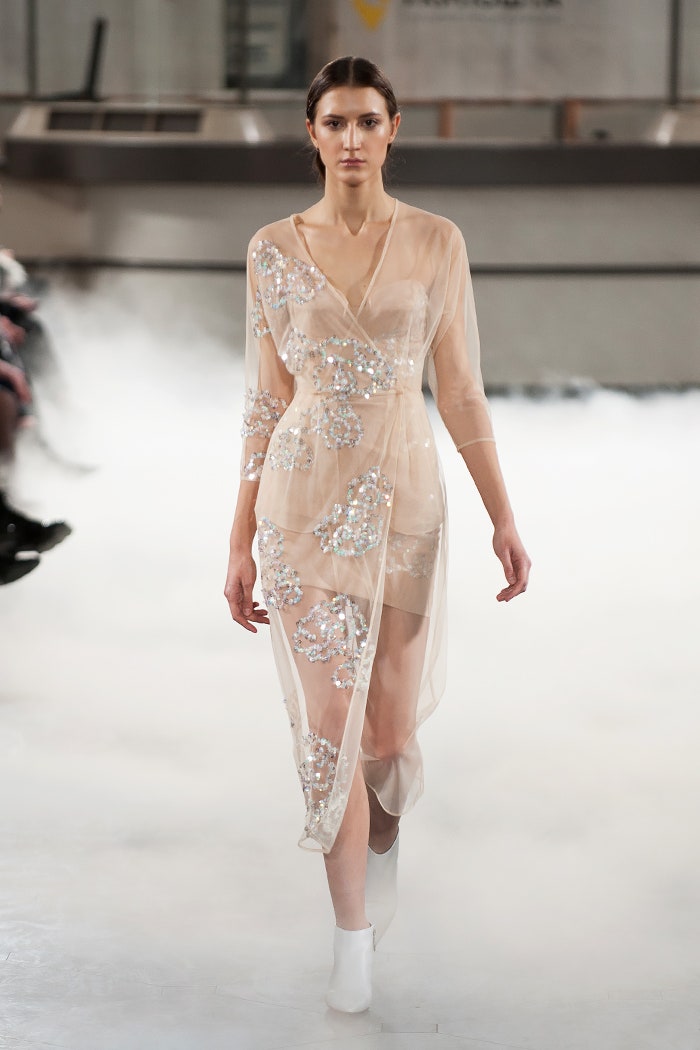 beige sheer embroidered dress