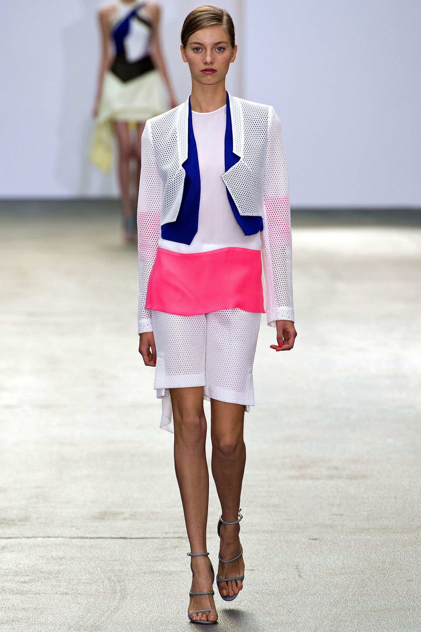 fitted mesh jacket and dress