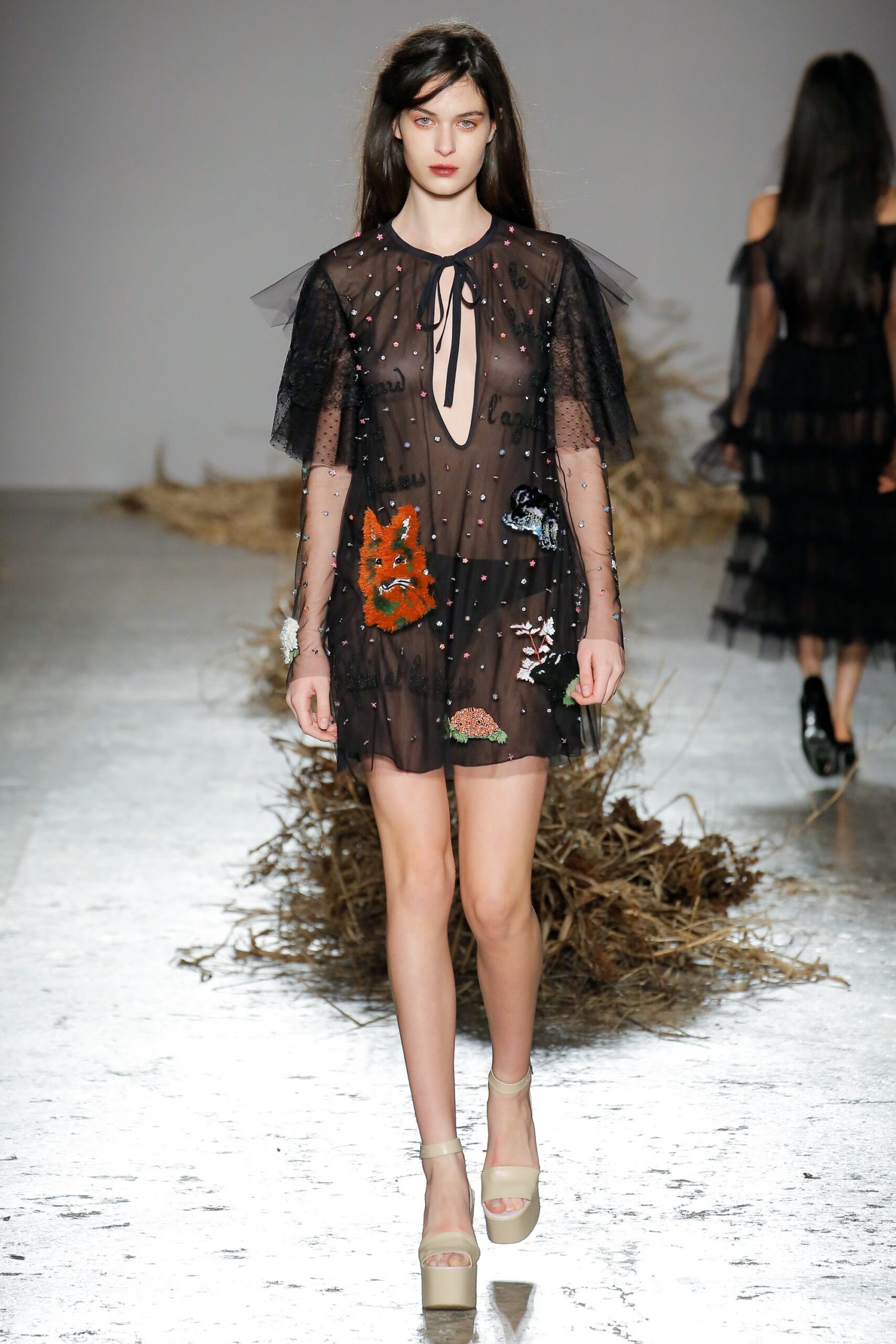 black sheer embroidered mini dress