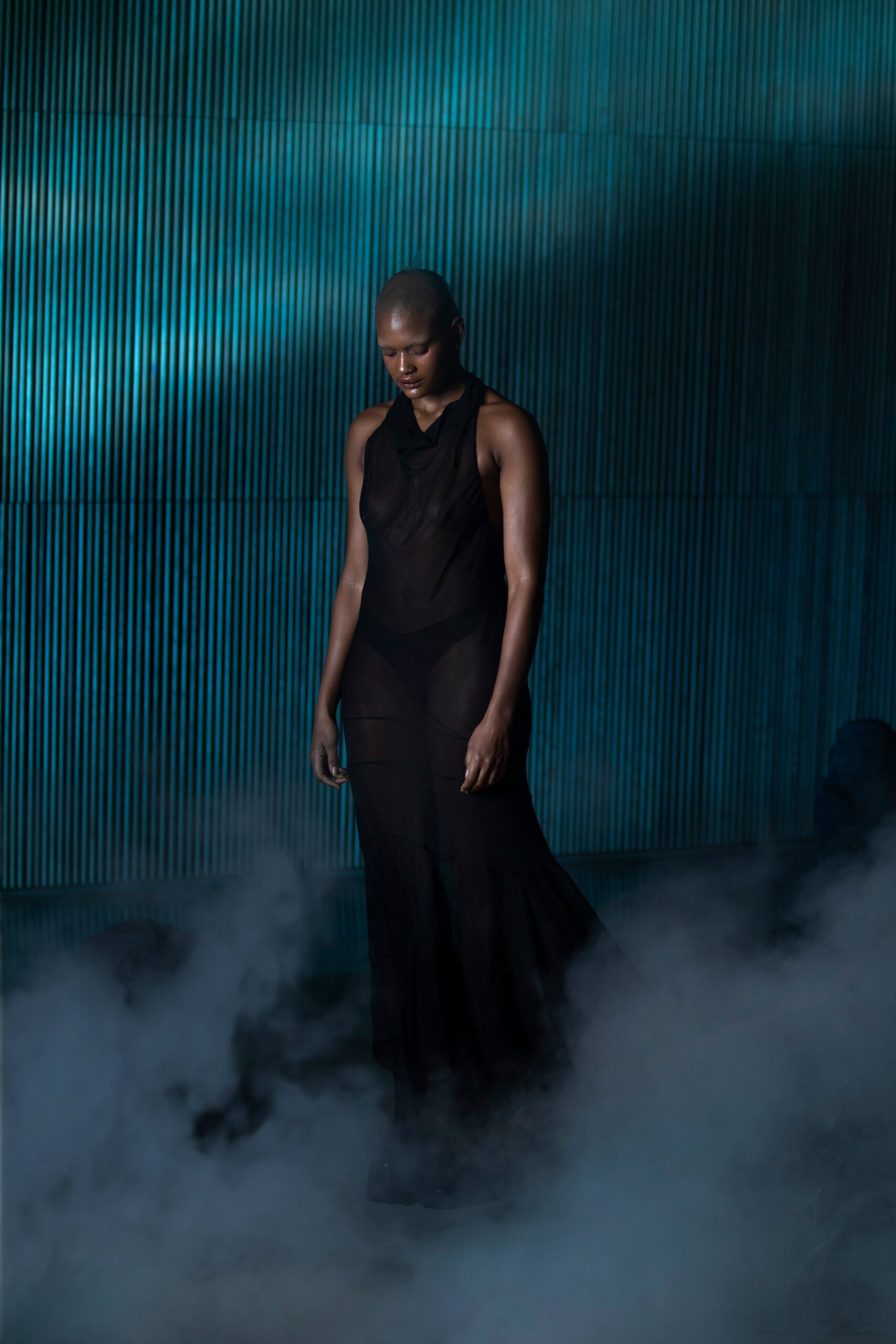 black sheer sleeveless dress