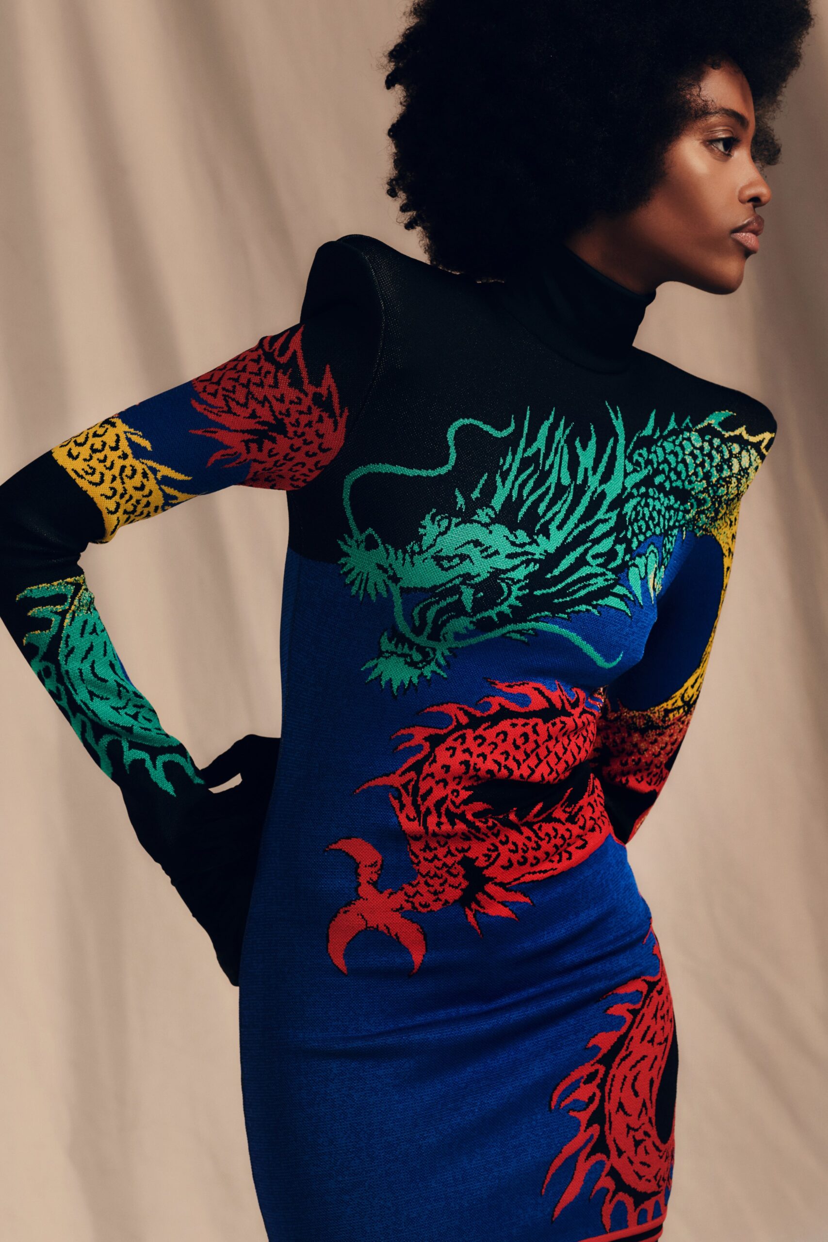 fitted long-sleeve printed dress