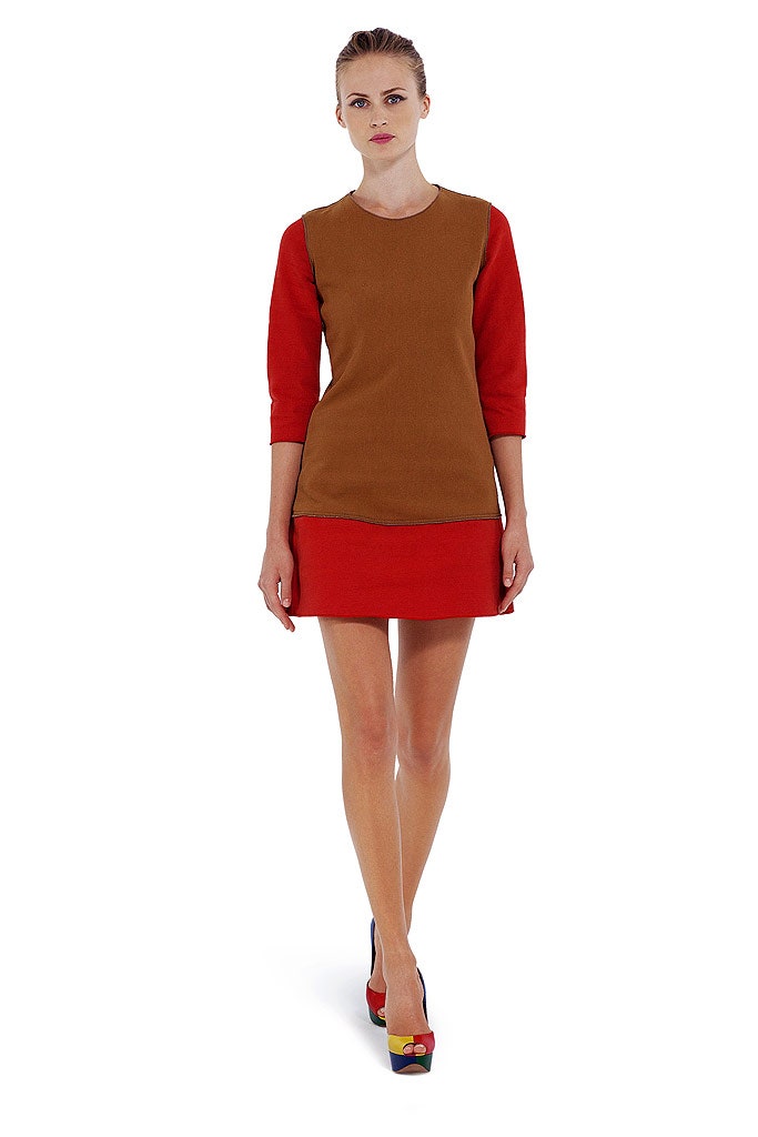 brown and red fitted mini dress