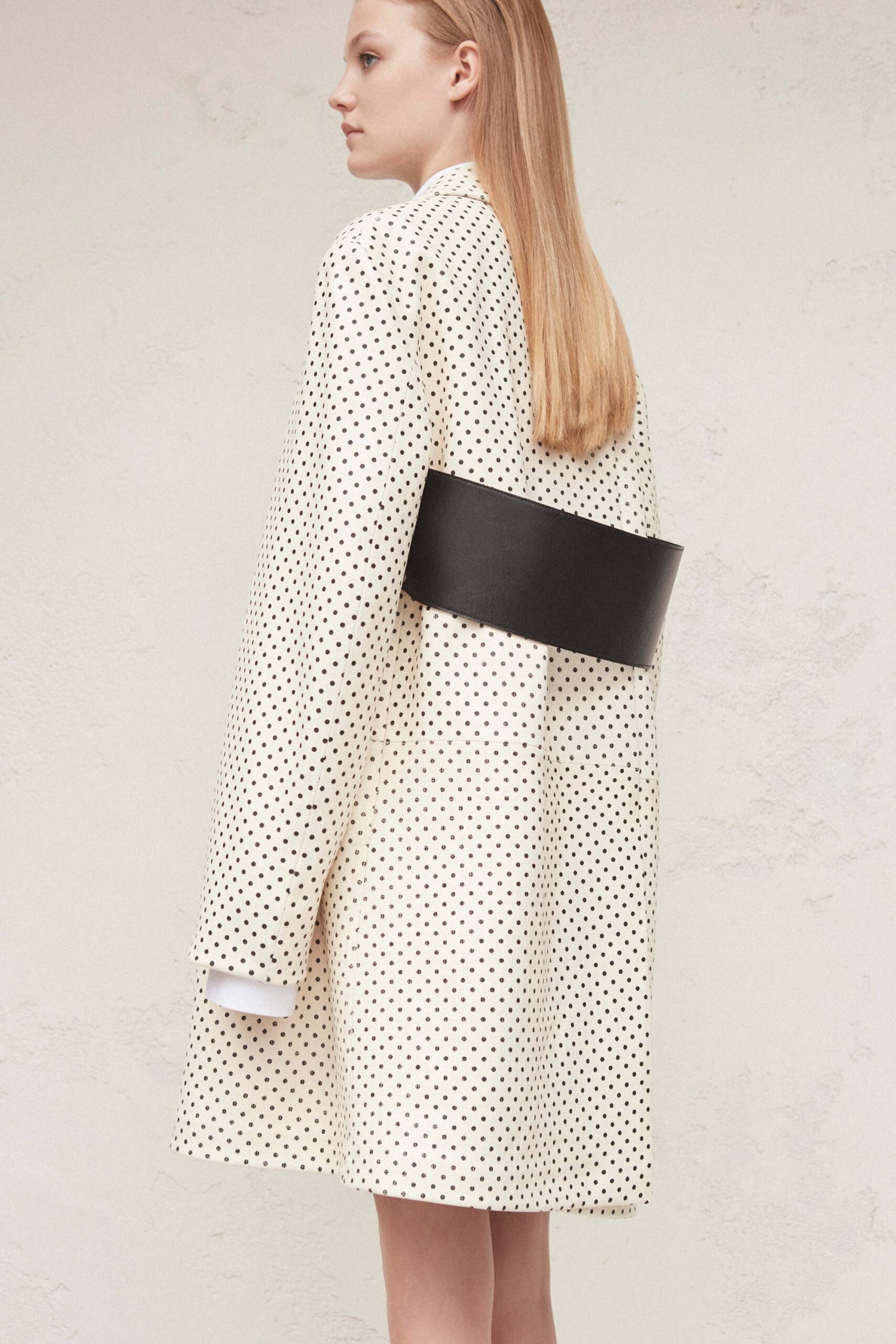 Calvin Klein Collection Resort 17 Look 19