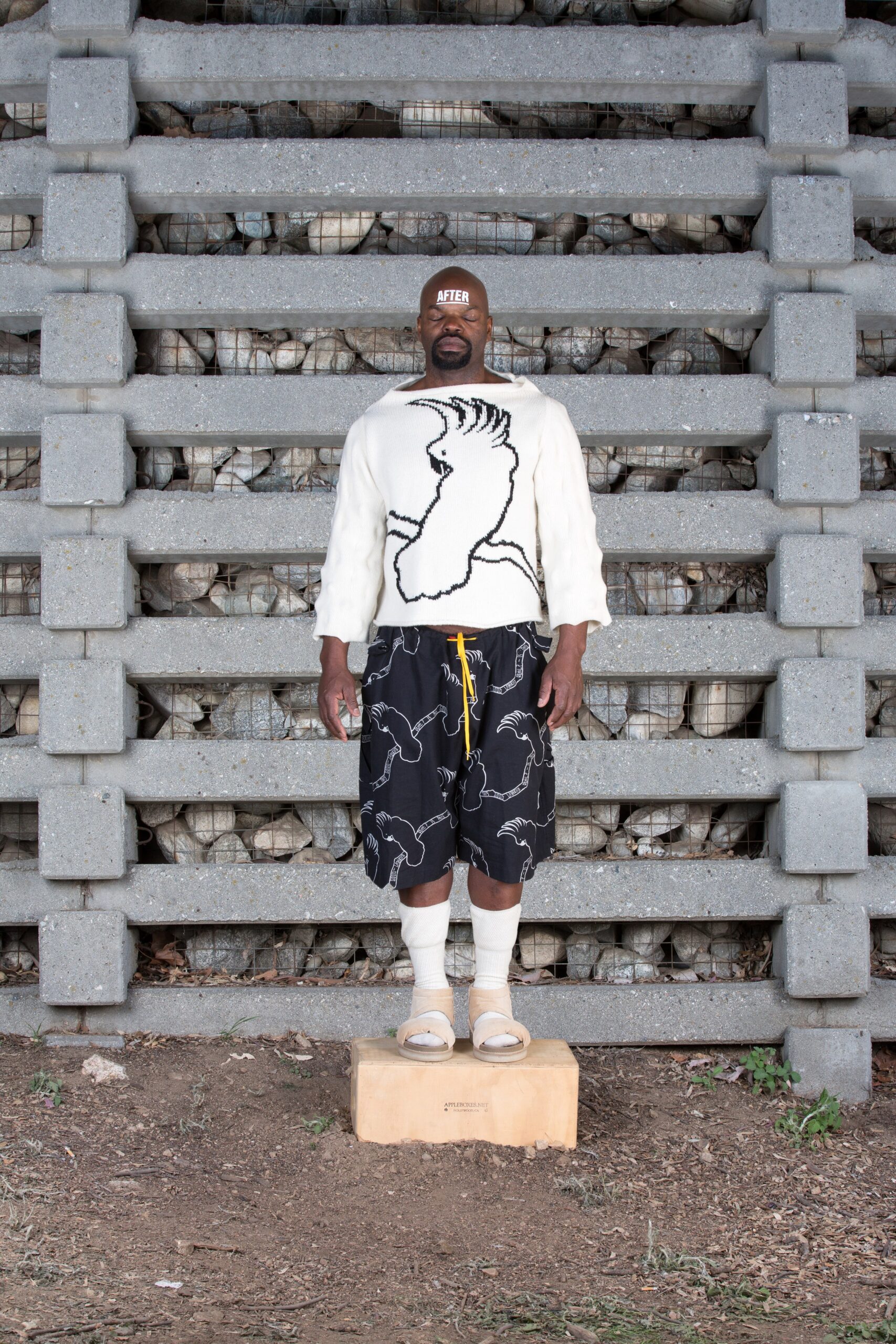 Bernhard Willhelm F/W 16 Look 315