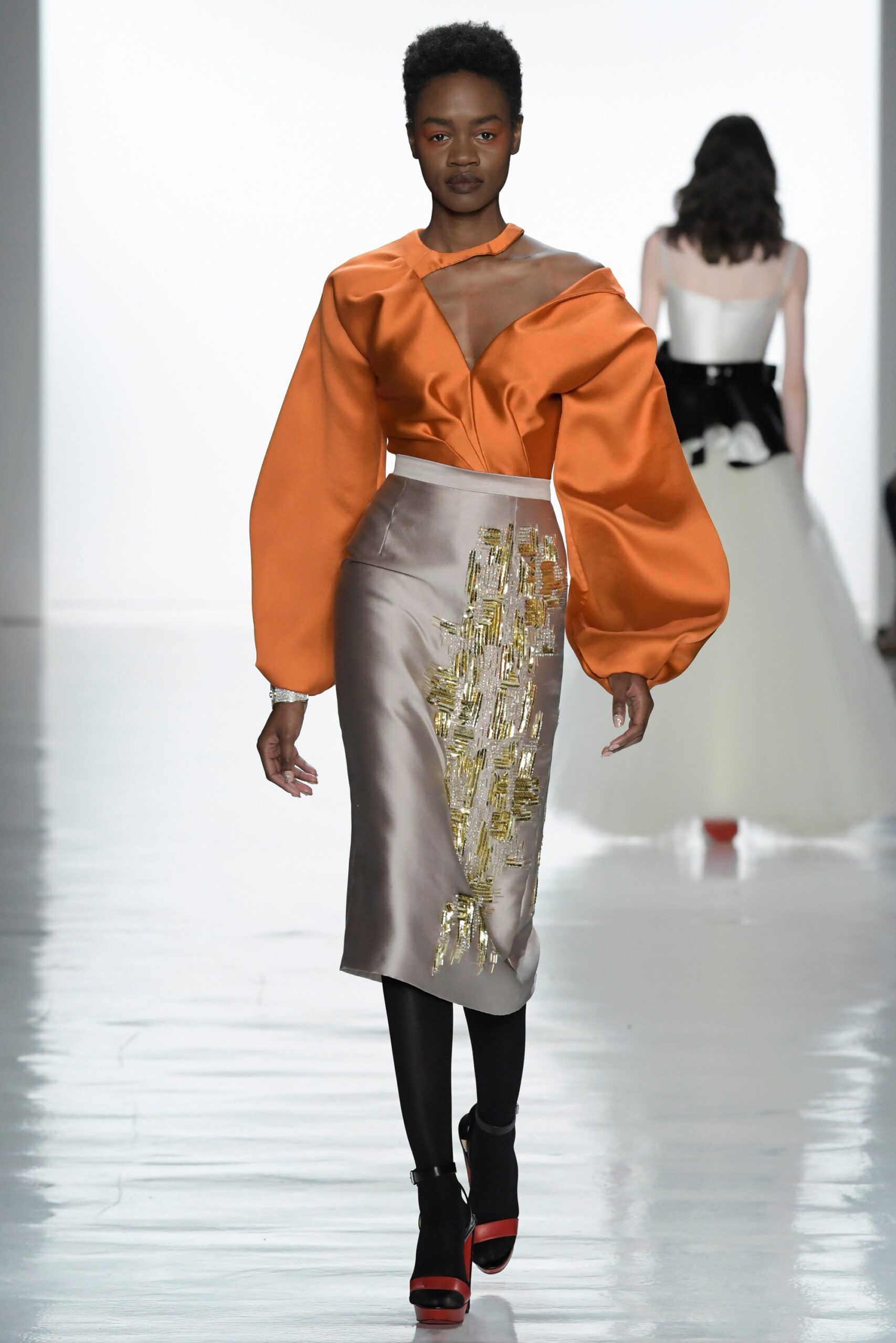 Bibhu Mohapatra F/W 17 Look 176