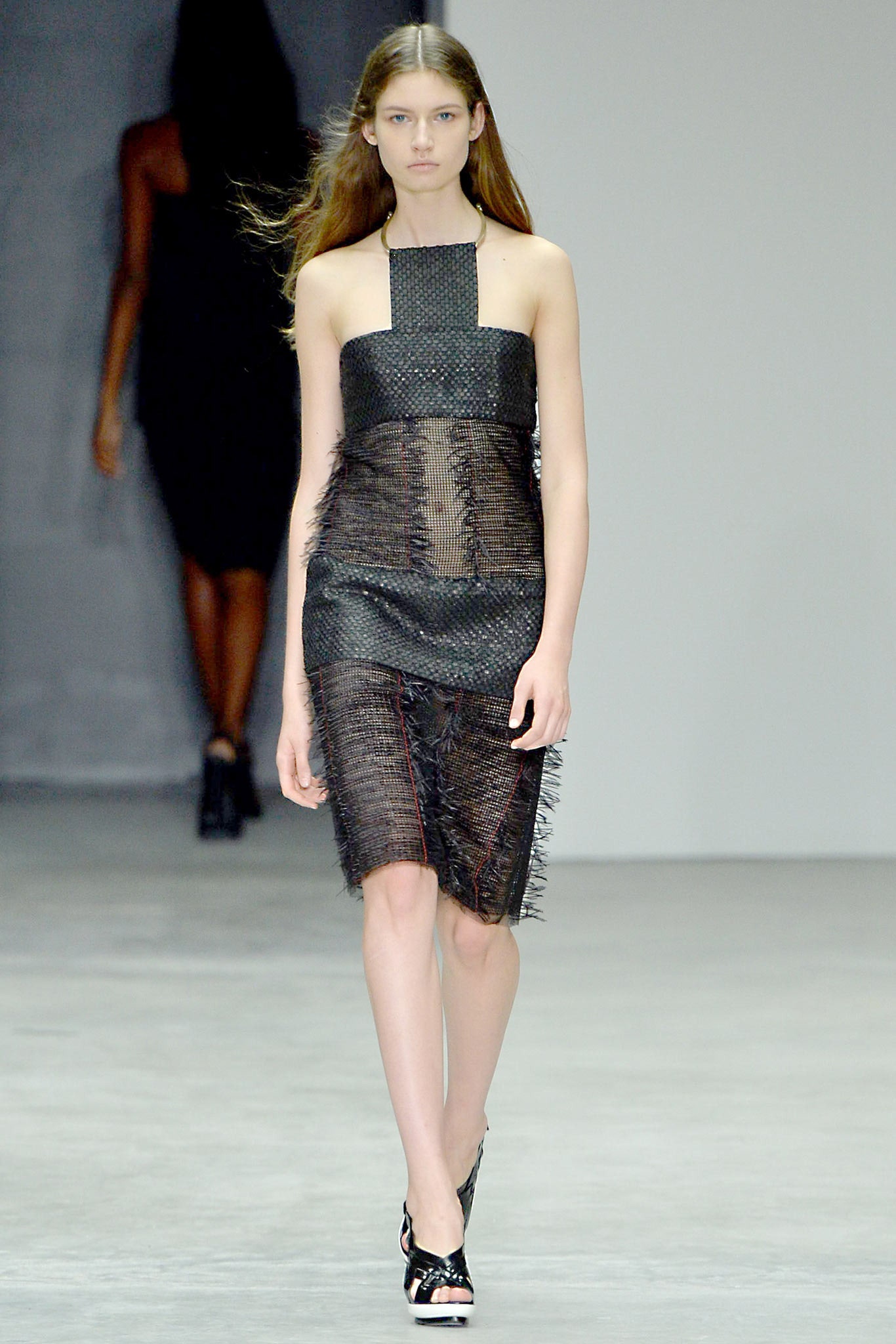 Calvin Klein Collection S/S 14 Look 206