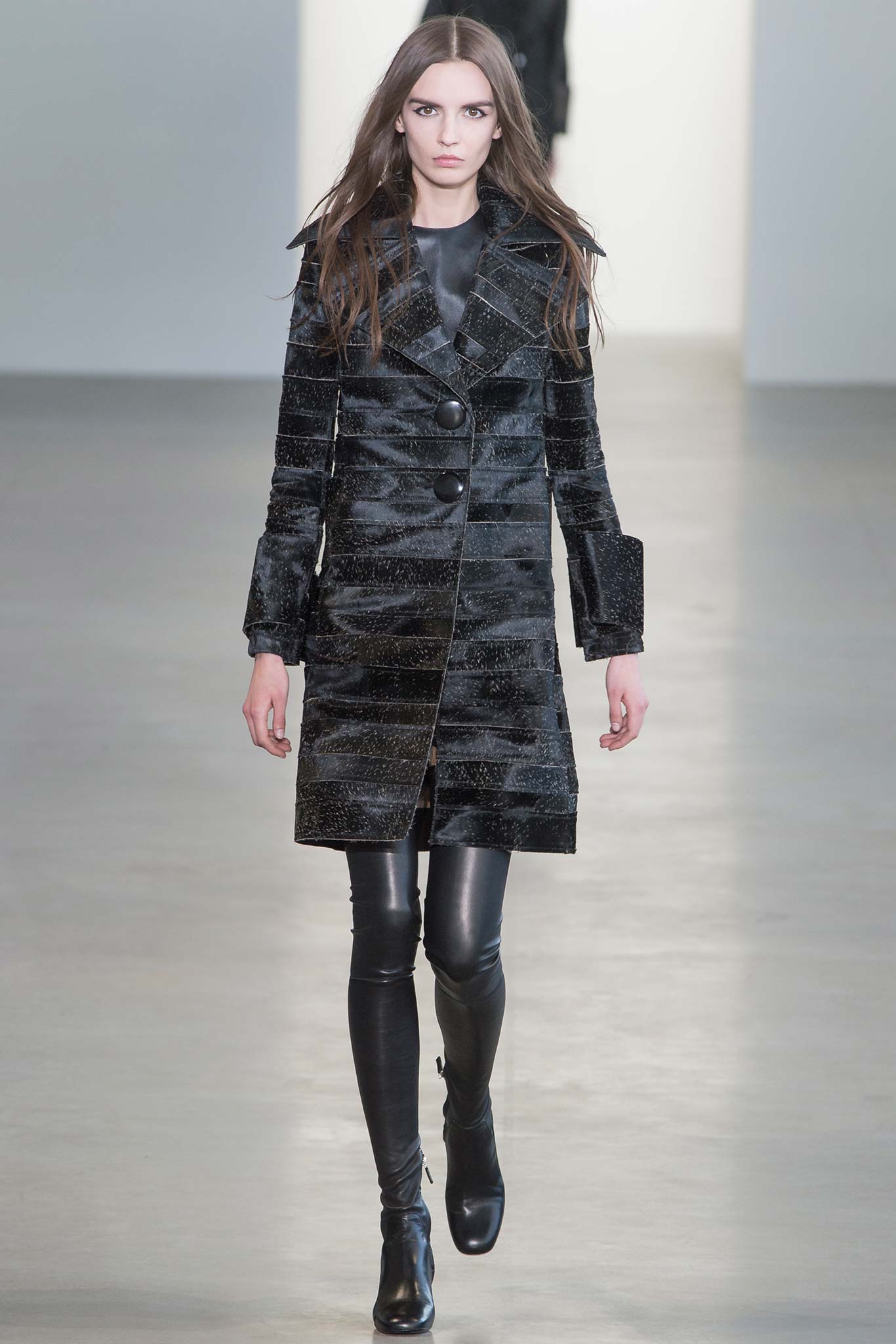 Calvin Klein Collection F/W 15 Look 6