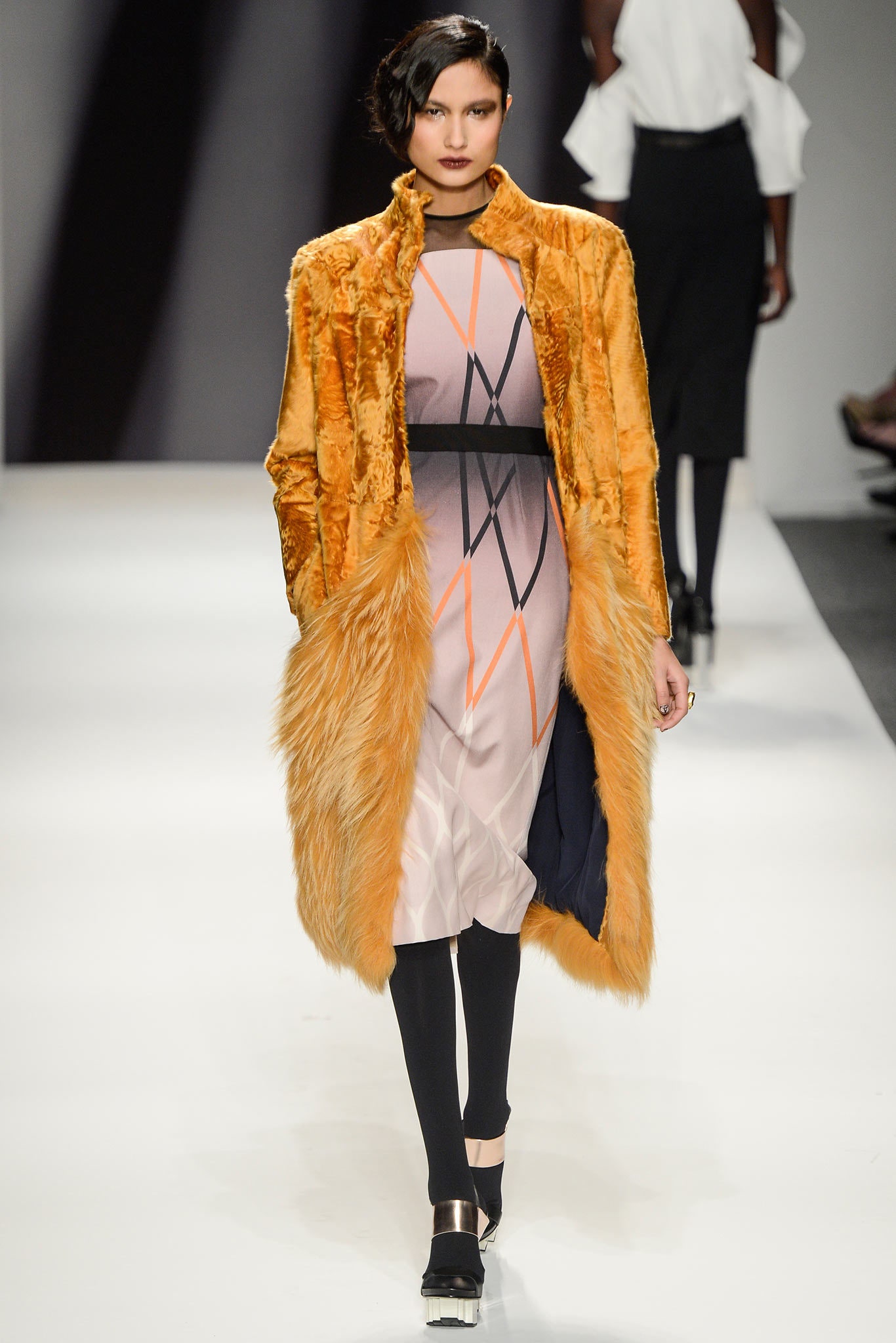 Bibhu Mohapatra F/W 13 Look 85