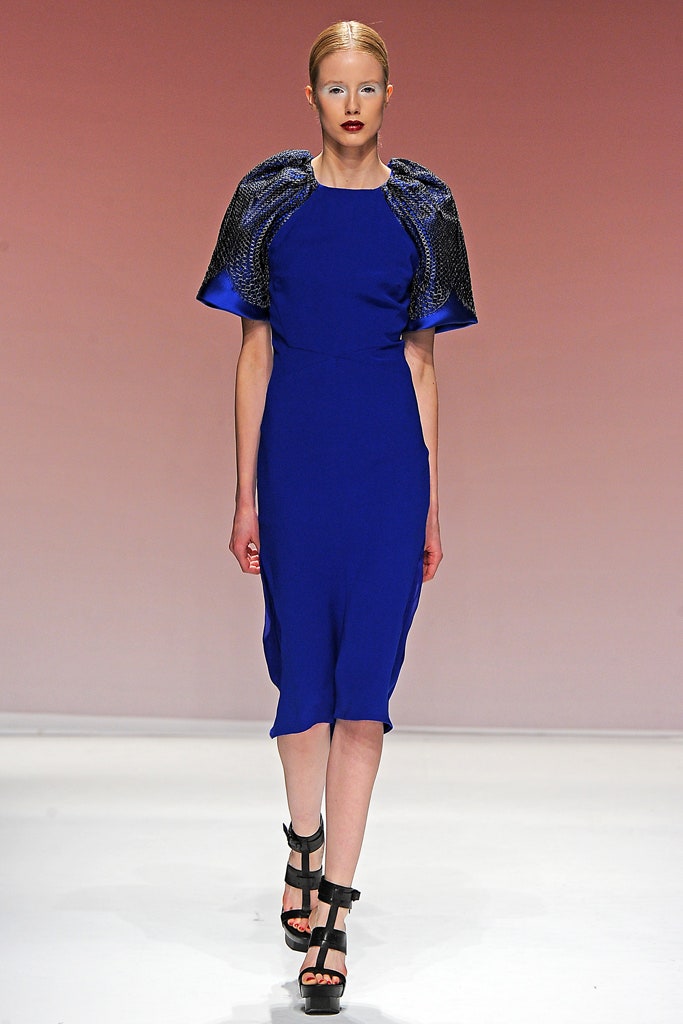 Bibhu Mohapatra F/W 12 Look 71