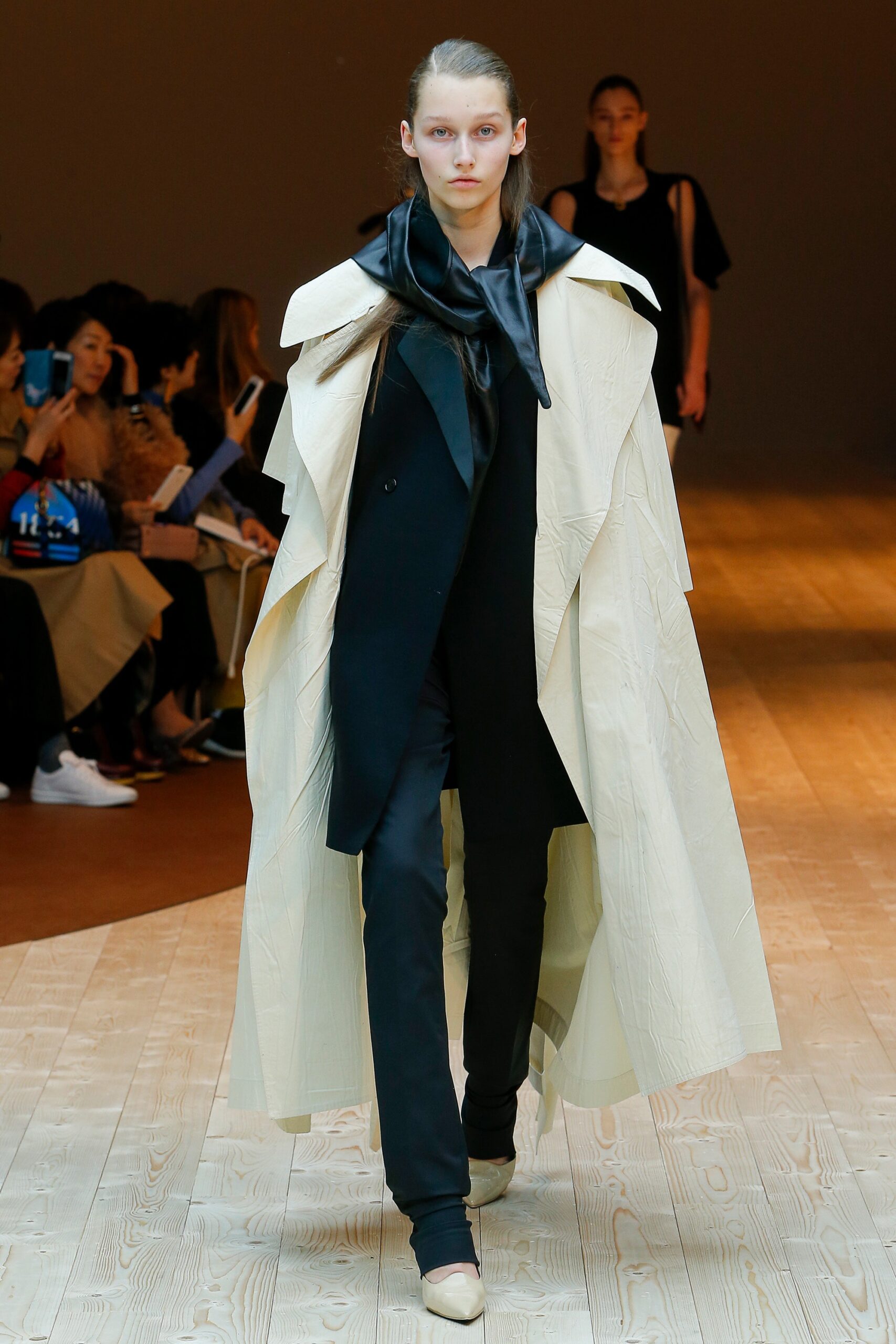 Celine F/W 17 Look 3