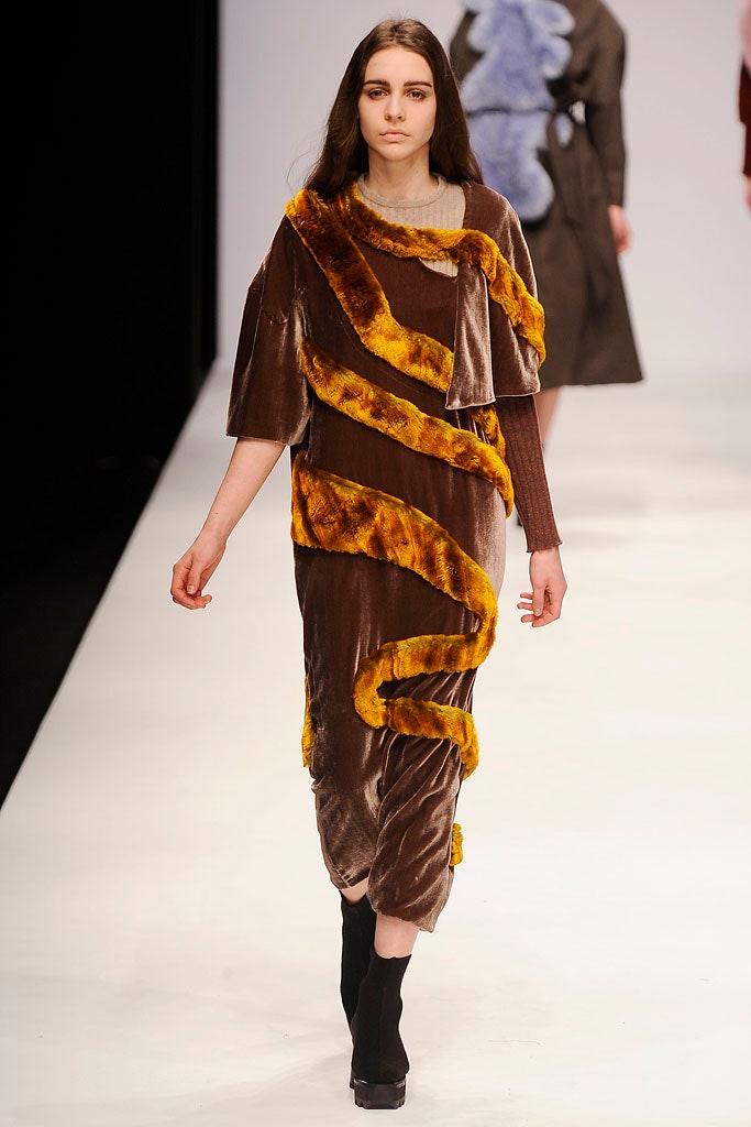 brown velvet dress with fur trim