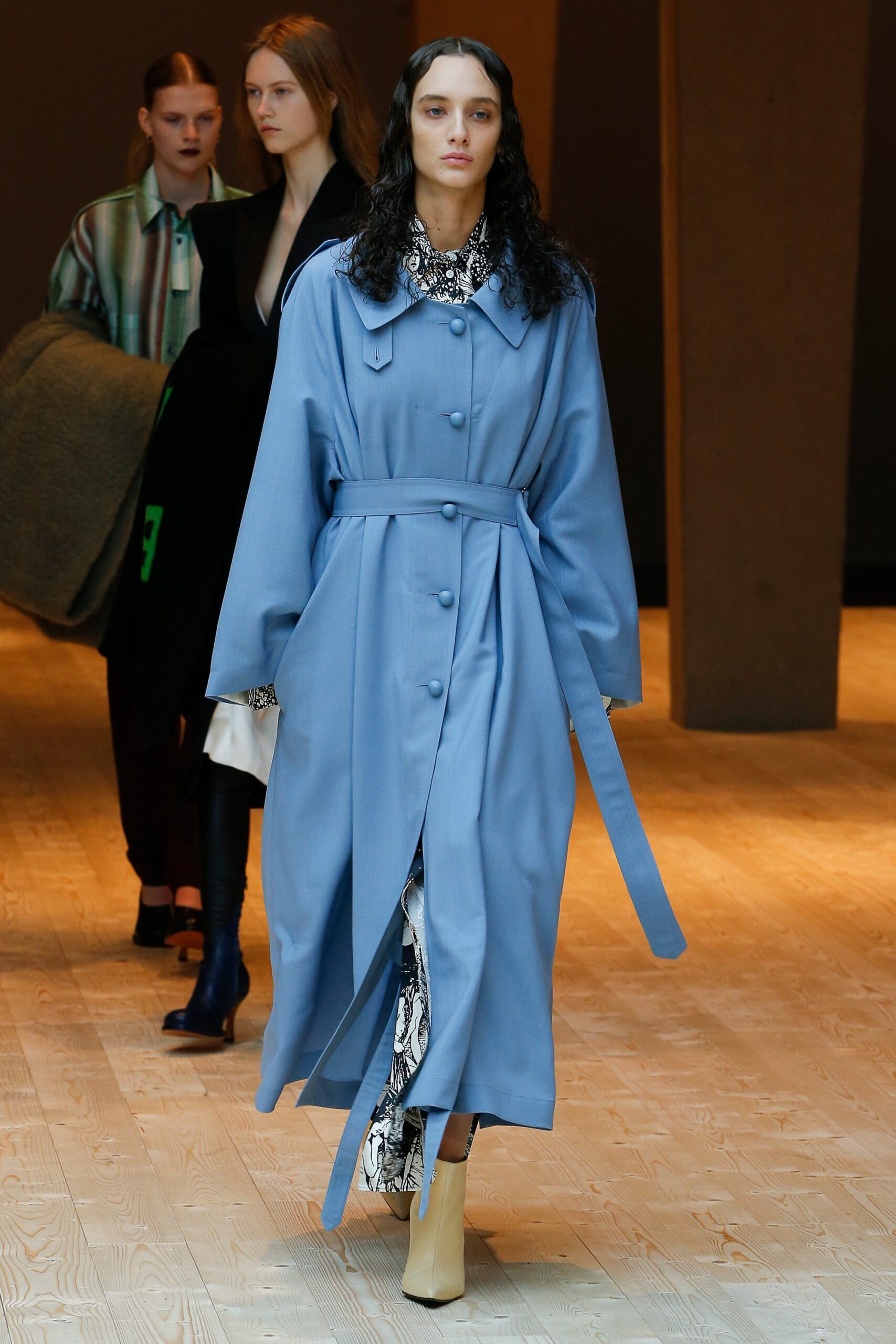 Celine F/W 17 Look 220
