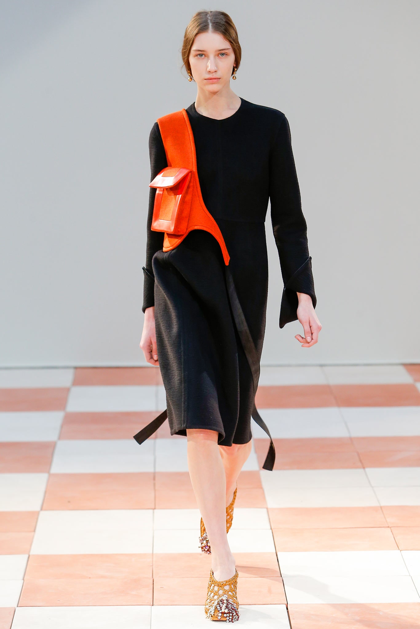 Celine F/W 15 Look 65