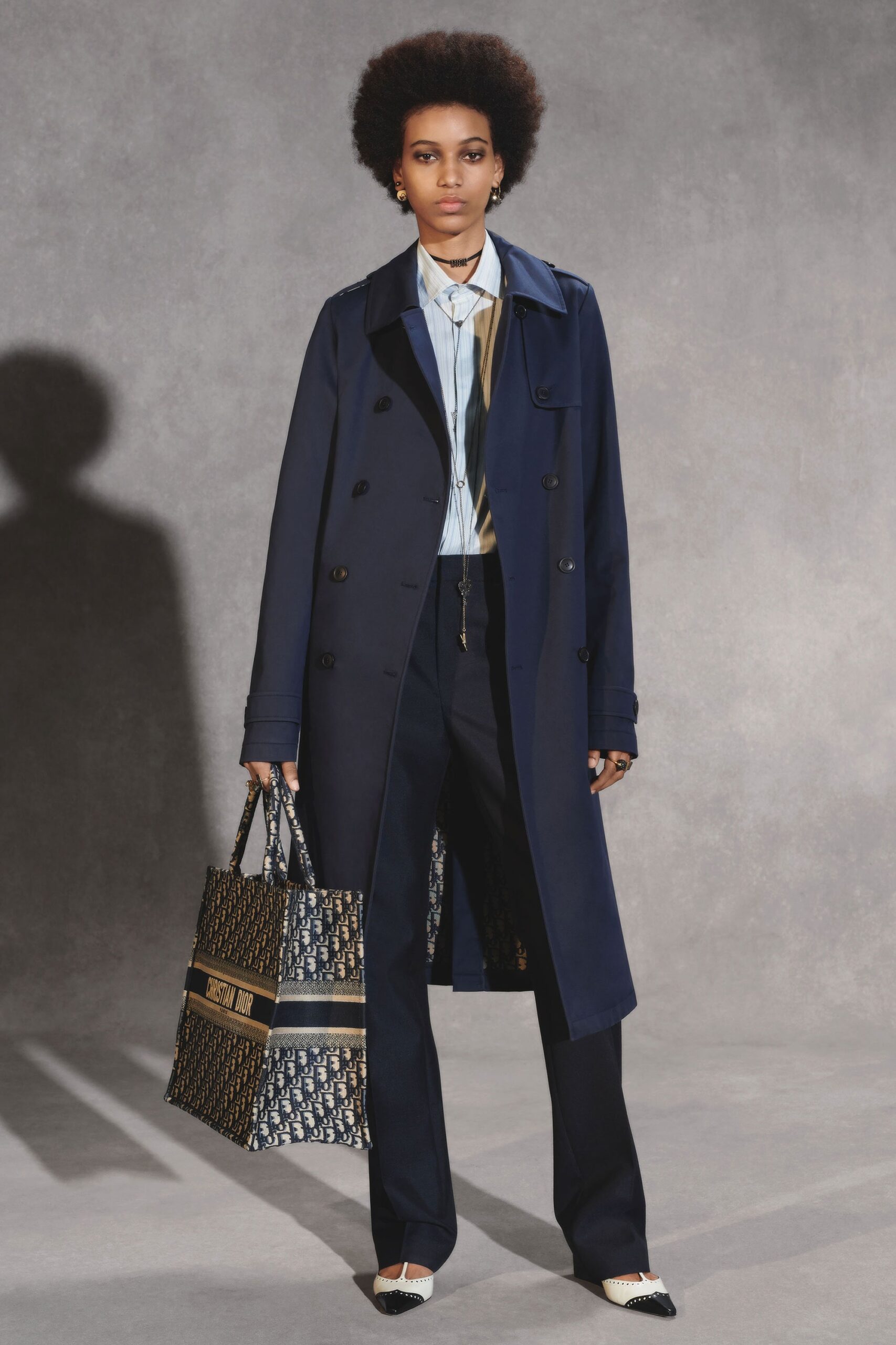 Christian Dior F/W 18 Look 169