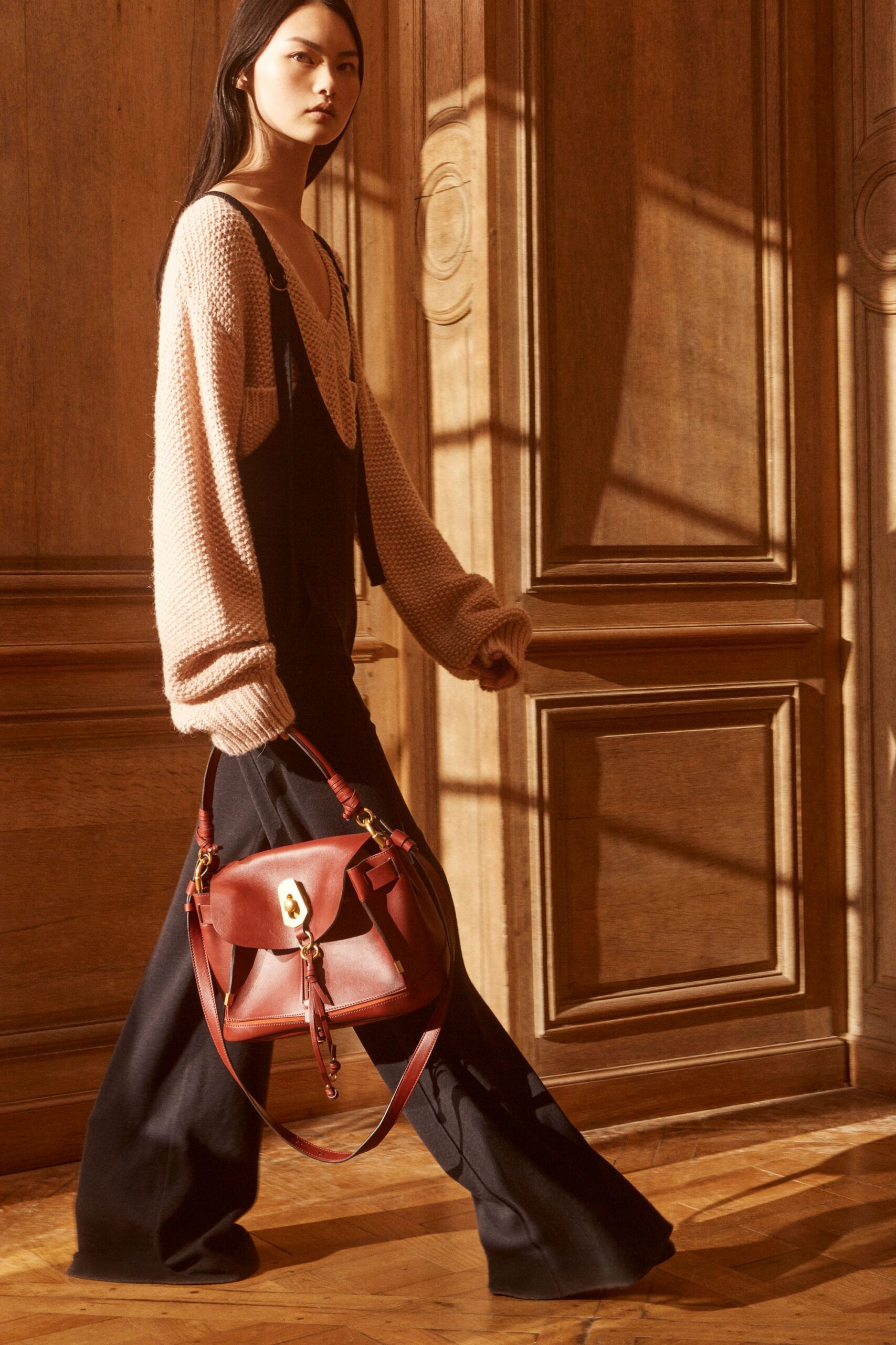 Chloé F/W 17 Look 209