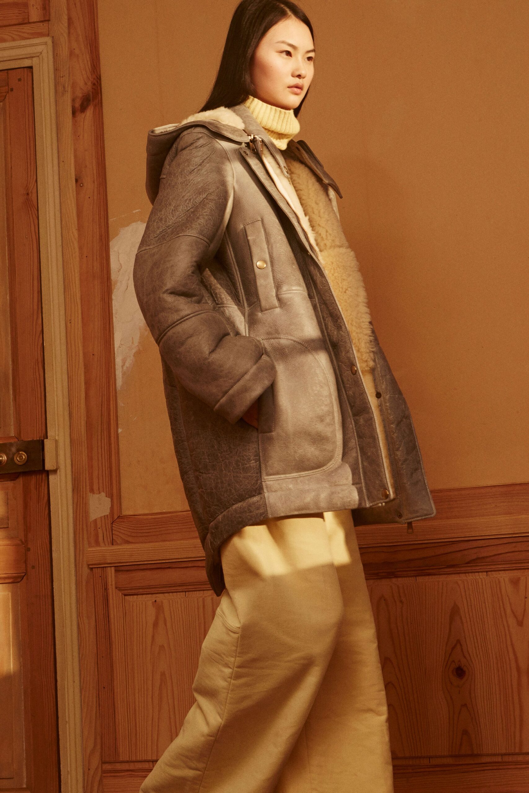 Chloé F/W 17 Look 236