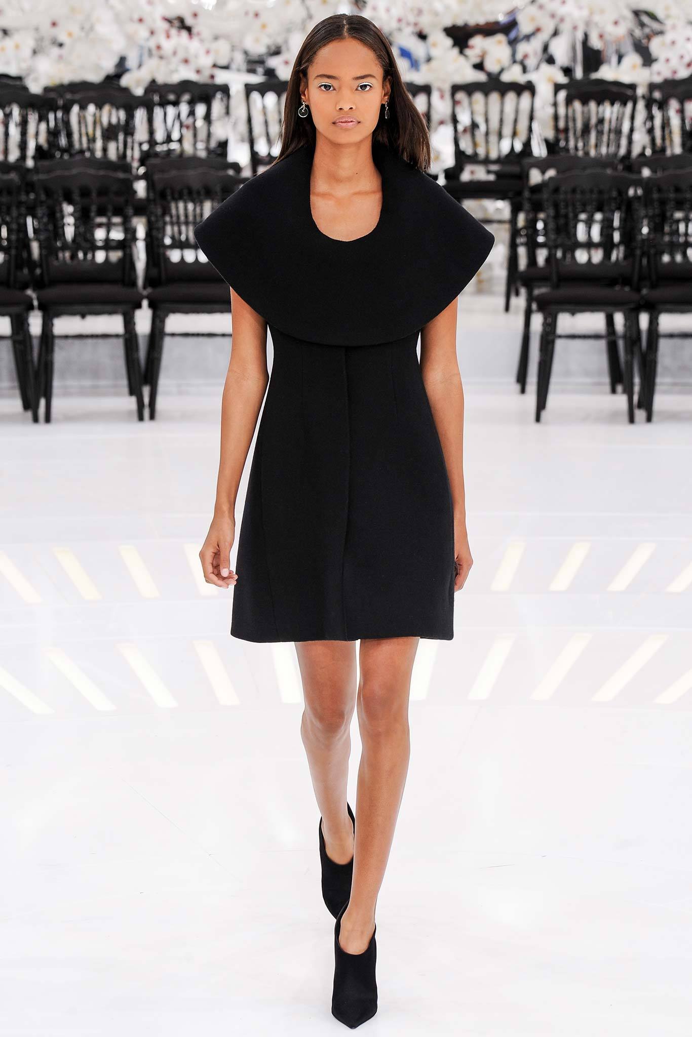 Christian Dior F/W 14 Couture Look 373