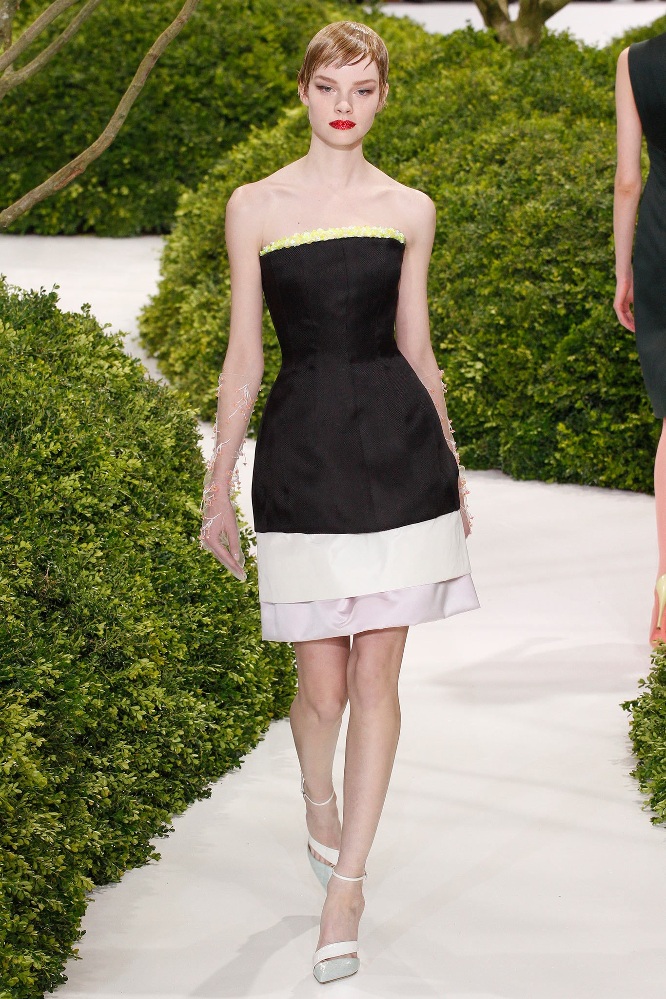 Christian Dior S/S 13 Couture Look 201