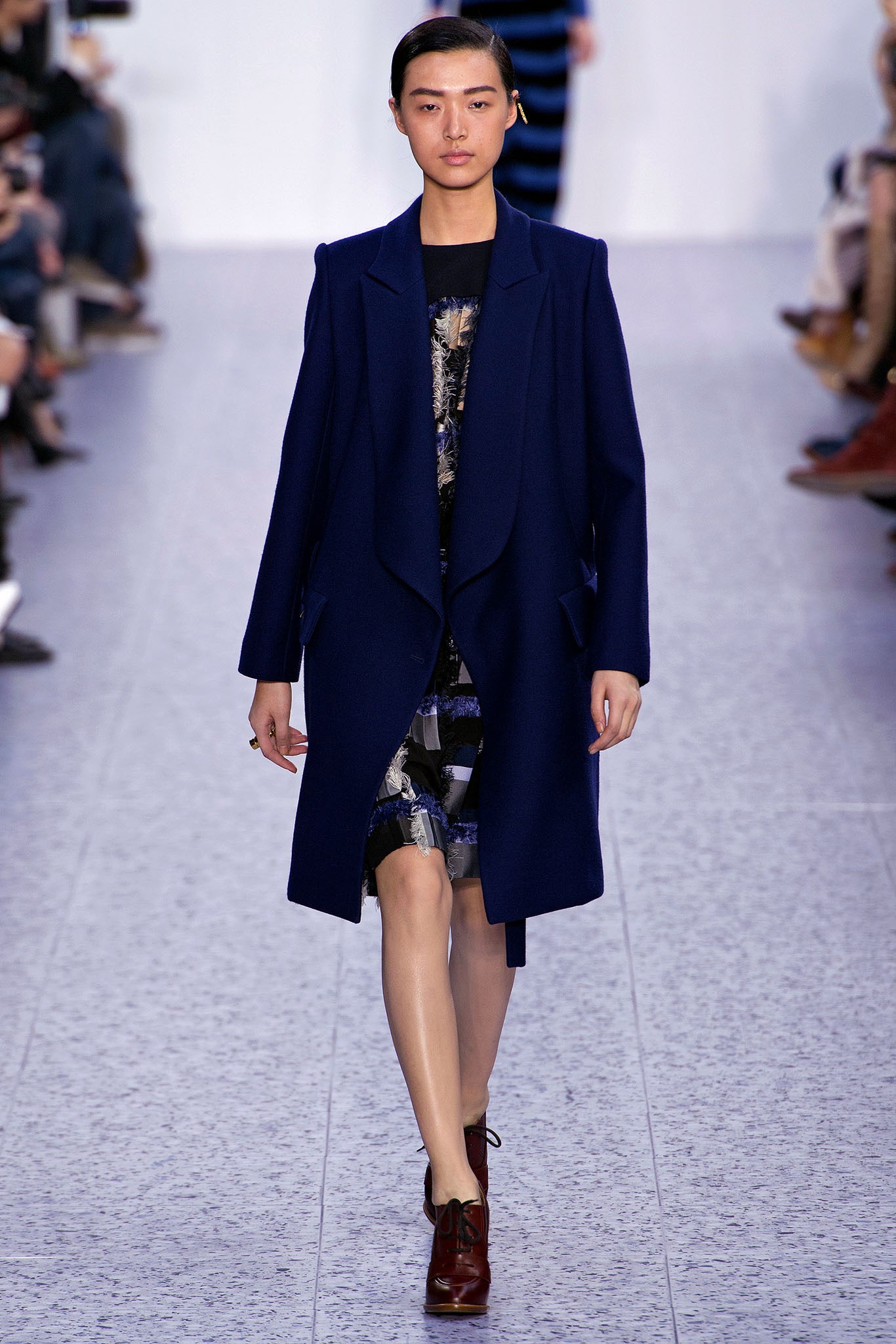 Chloé F/W 13 Look 248