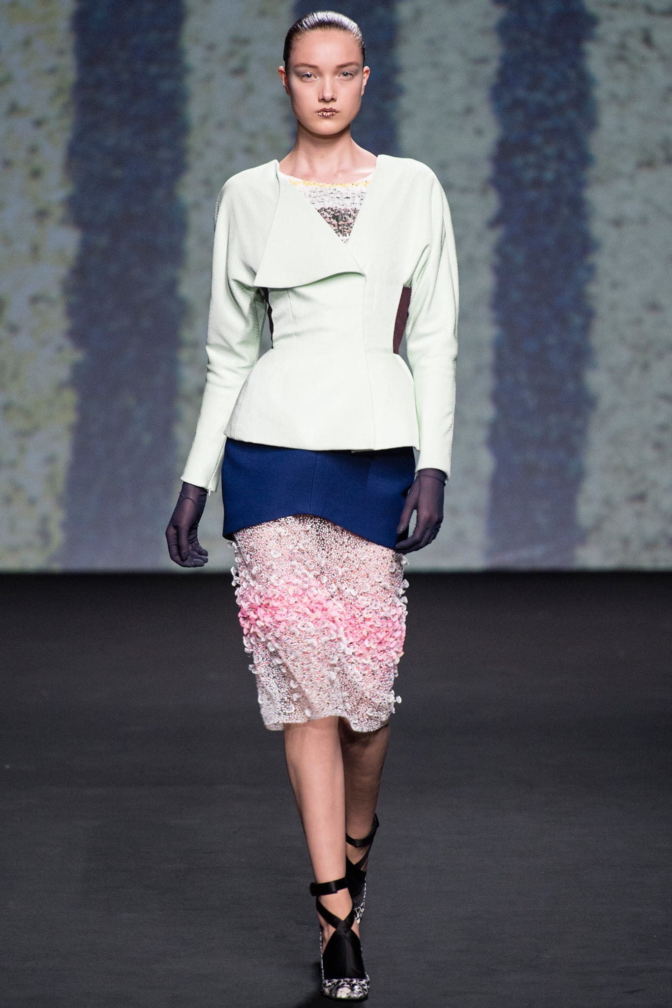 Christian Dior F/W 13 Couture Look 25