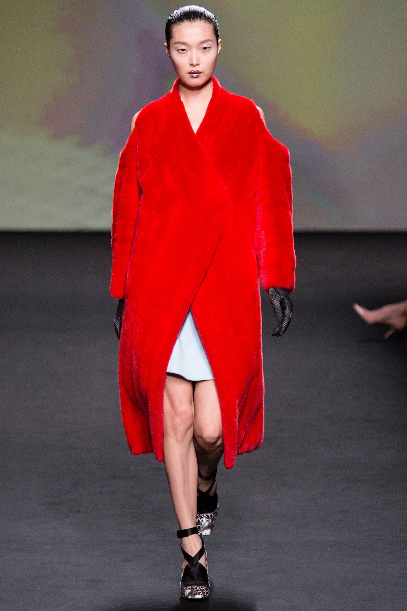 Christian Dior F/W 13 Couture Look 221