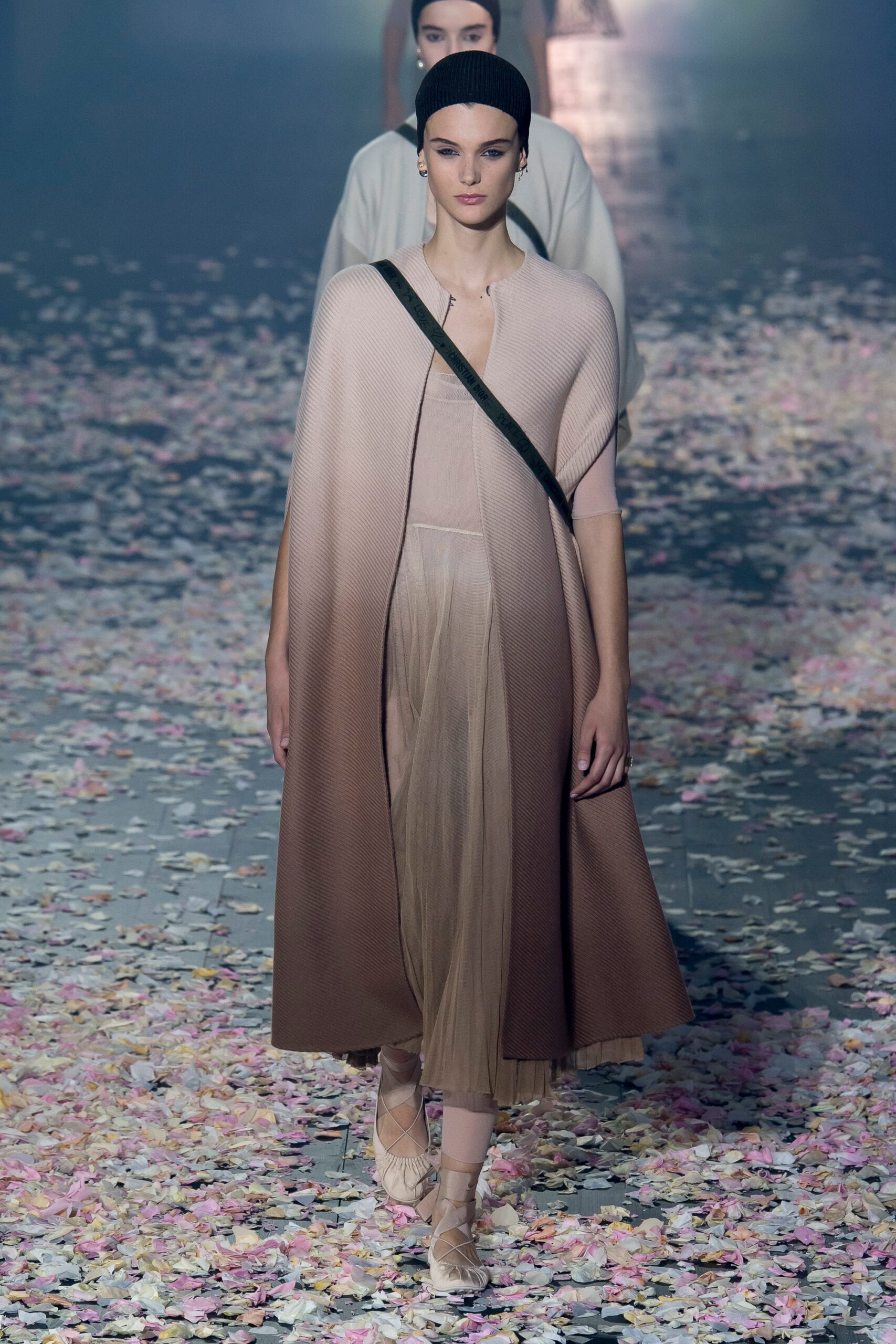 Christian Dior S/S 19 Look 29