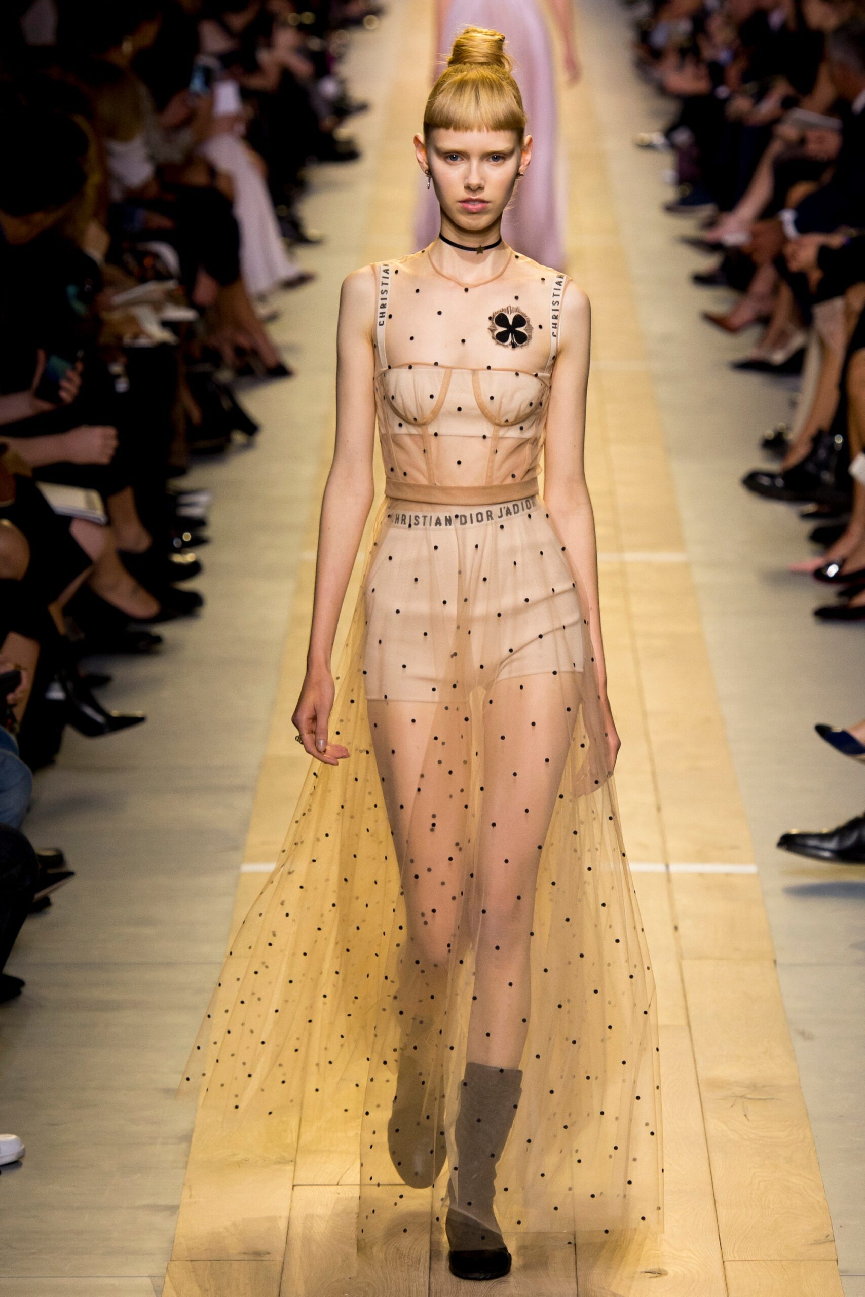 Christian Dior S/S 17 Look 655