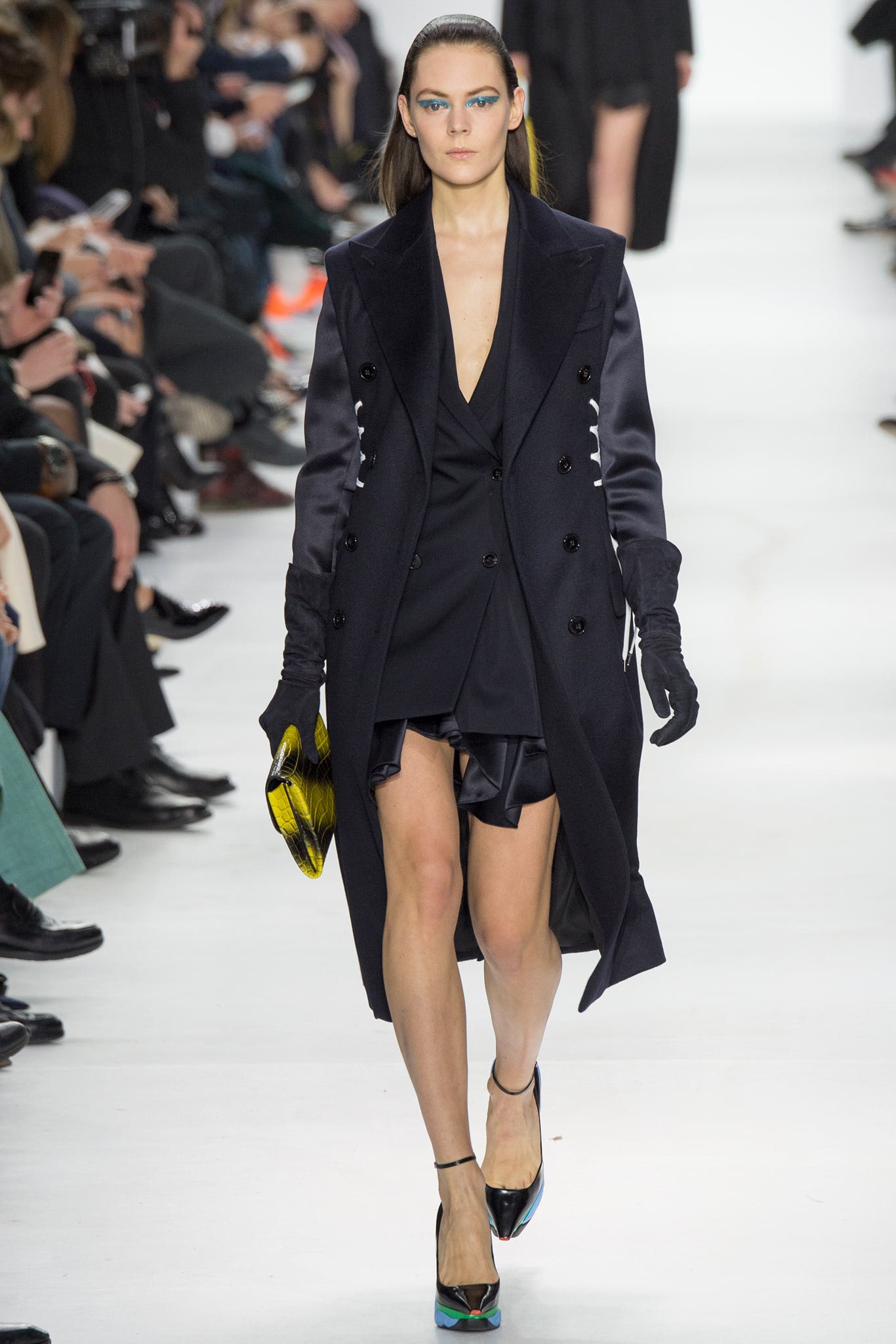 Christian Dior F/W 14 Look 3