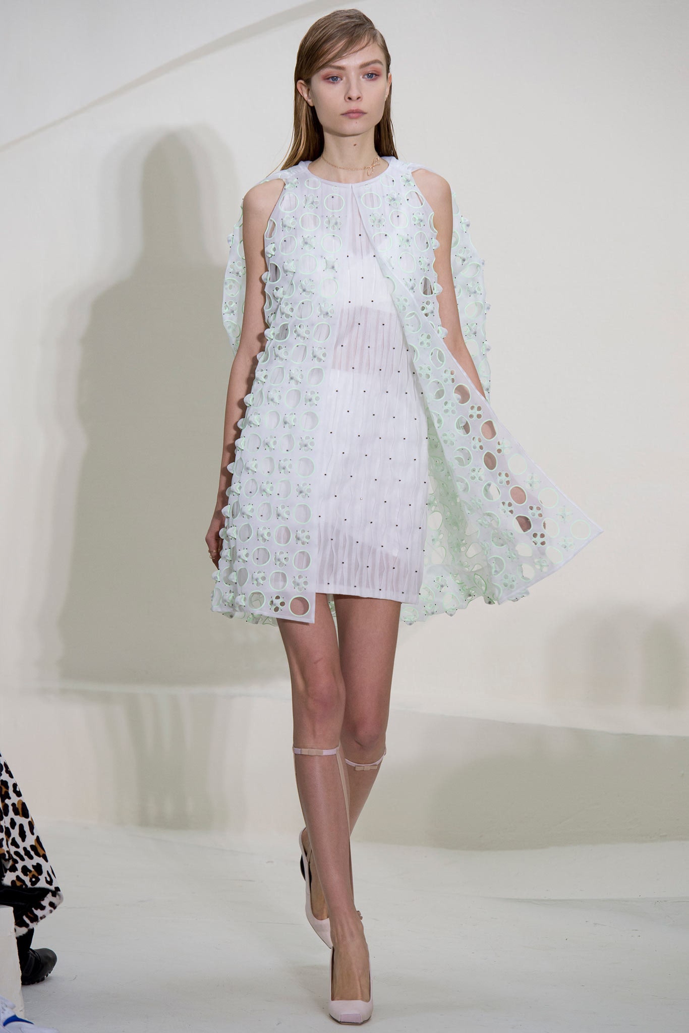 Christian Dior S/S 14 Couture Look 19